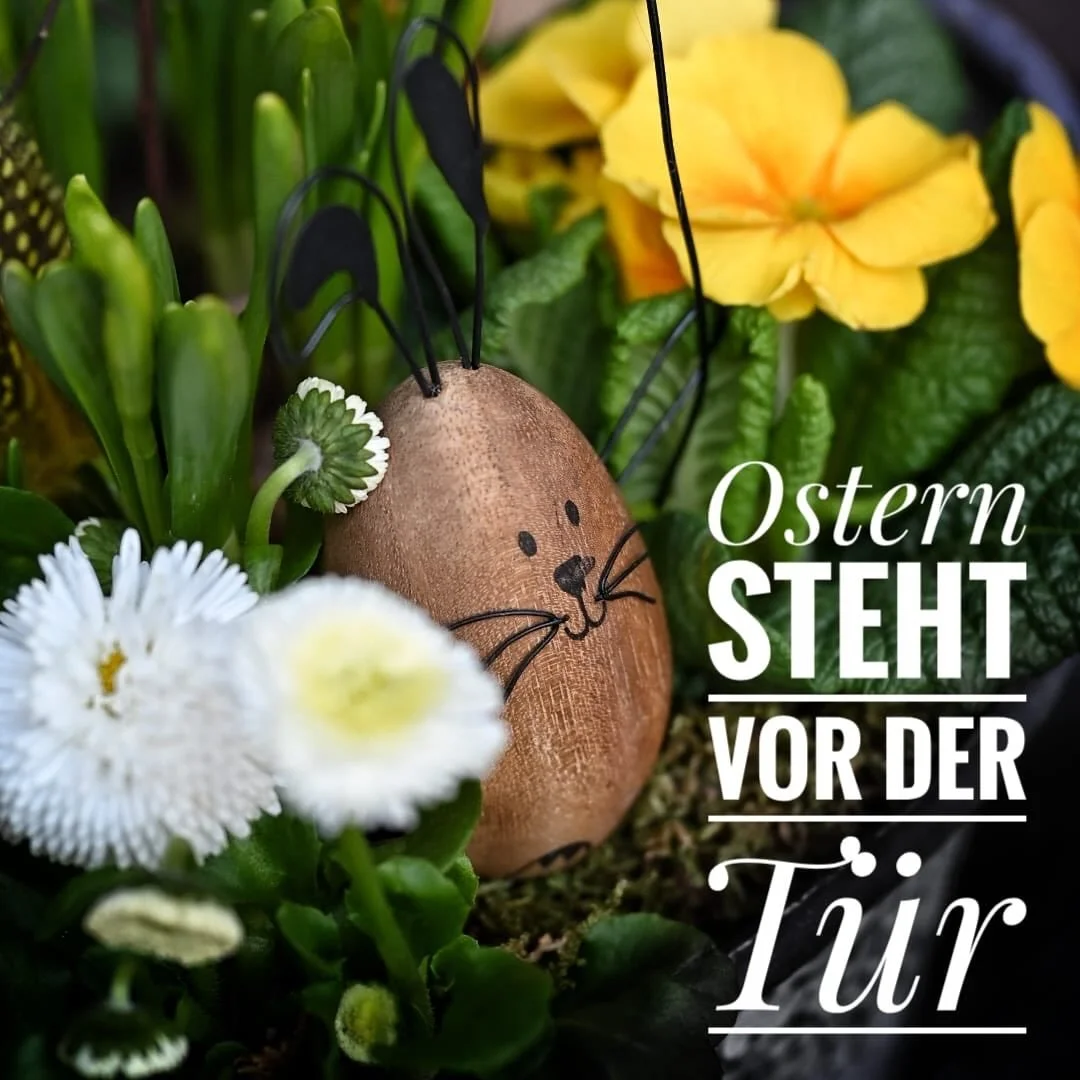 🐣 Ostern steht vor der T&uuml;r&hellip;

Lasst Euch von unseren liebevollen Ideen inspirieren und bringt den Fr&uuml;hling nach Hause 💛🌿 

#osterdeko #fr&uuml;hlingsgef&uuml;hle #dekoliebe #inspiration #osterzeit