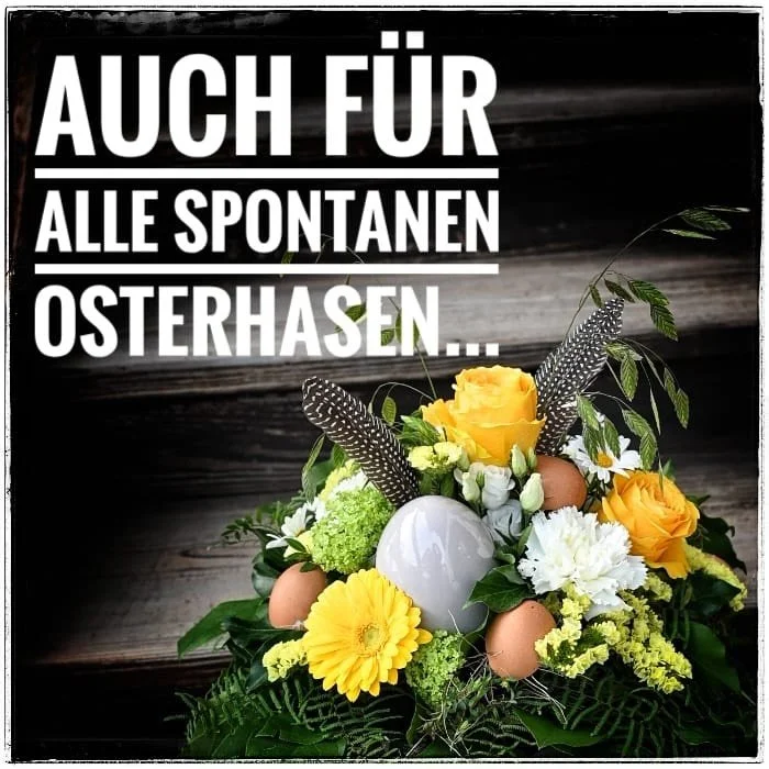 Mir w&uuml;nsched allne ganz sch&ouml;ni Oschter&auml;🐰☀️🐰