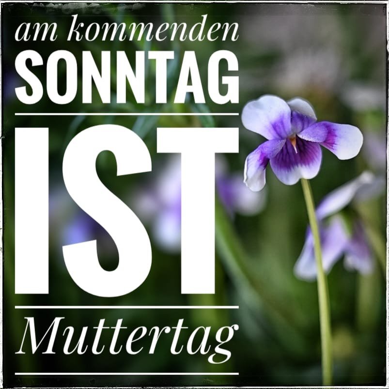 Scho gli isch Muettertag💗🌺🌸ch&ouml;med verbi mir h&auml;nd vill sch&ouml;ni Sache🌸🌸