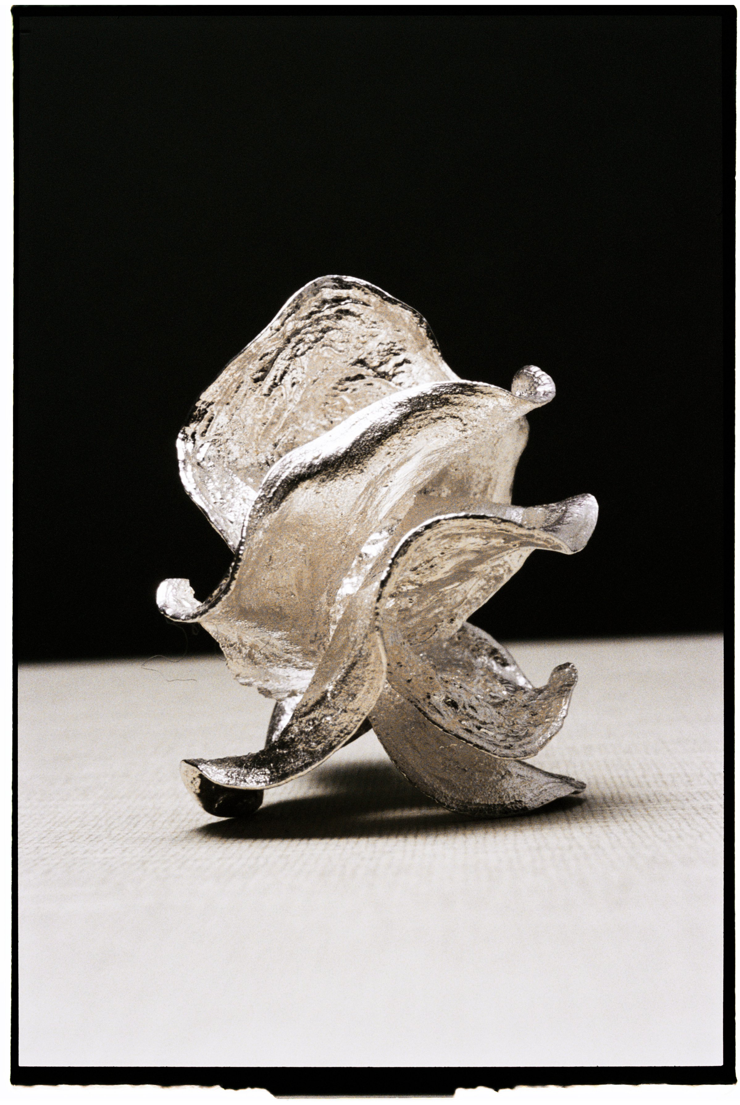 R1-03870-0003 copia.jpg