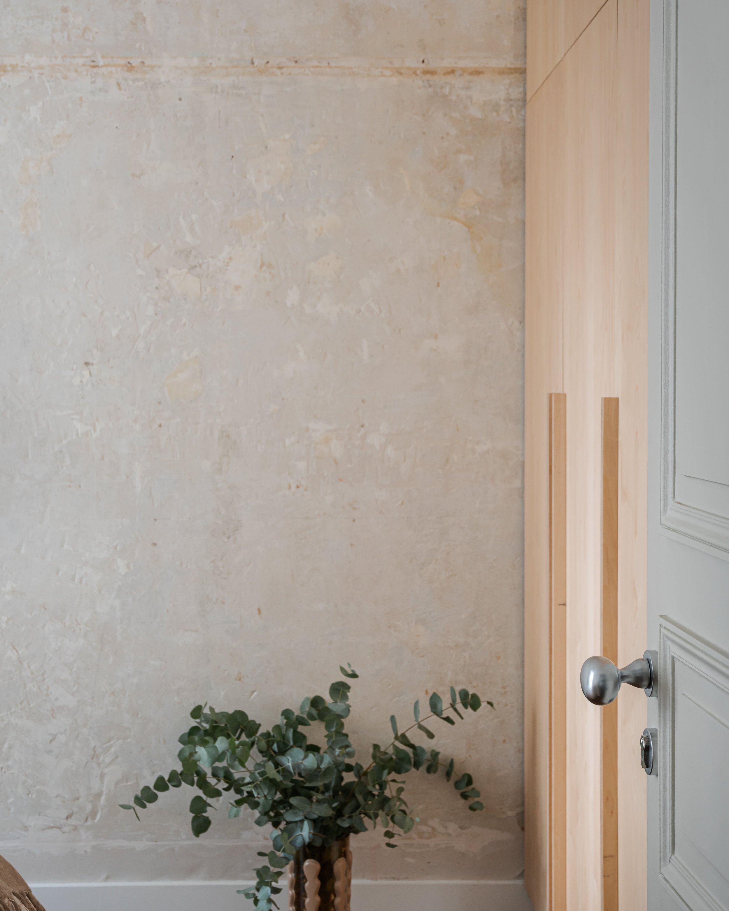 Vase avec des feuilles de eucalyptus devant un mur en plâtre beige avec un placard en bois naturel et une porte grise avec poignée en métal