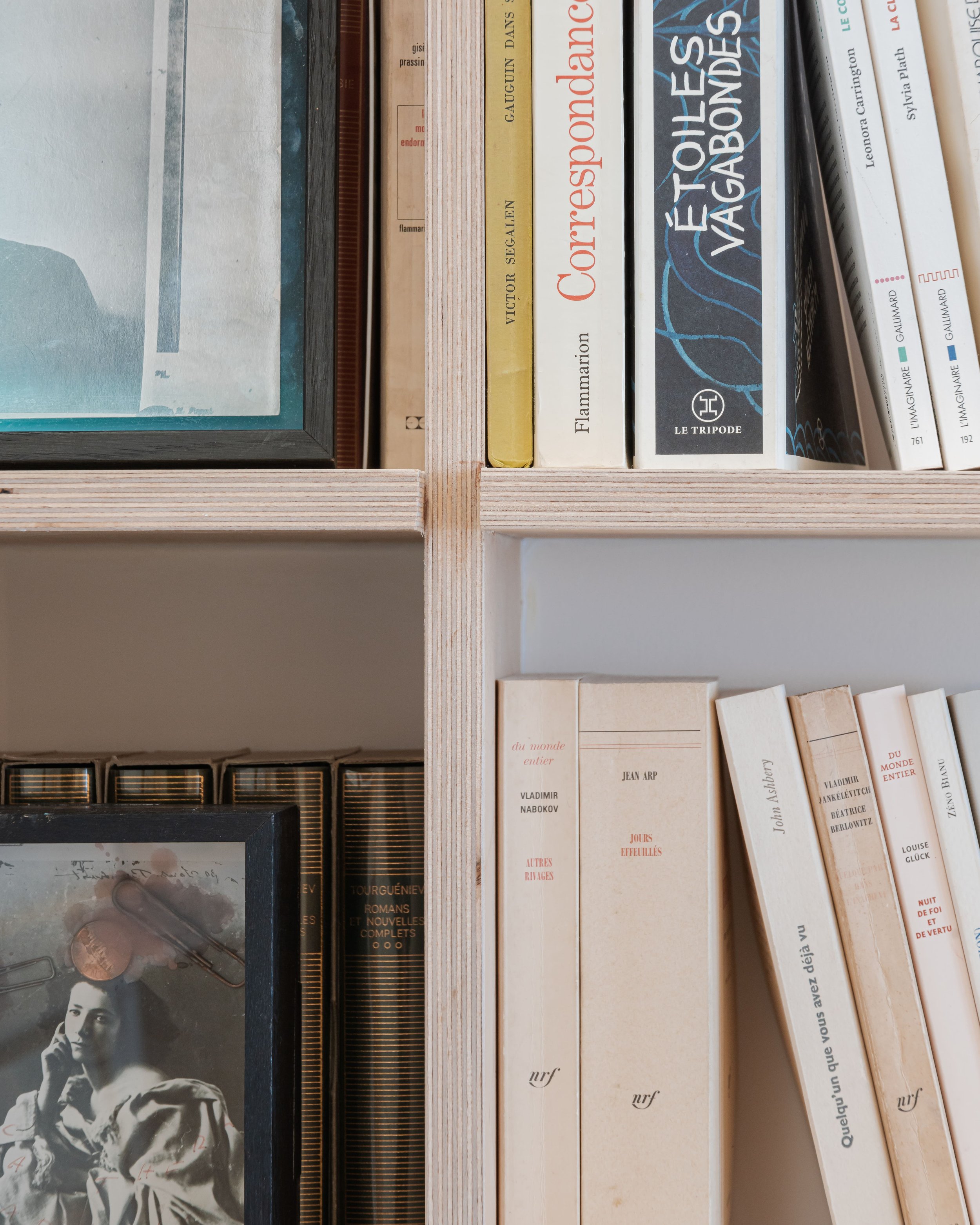 Vue rapprochée d'une étagère en bois contenant plusieurs livres, certains avec des titres en français, disposés verticalement.