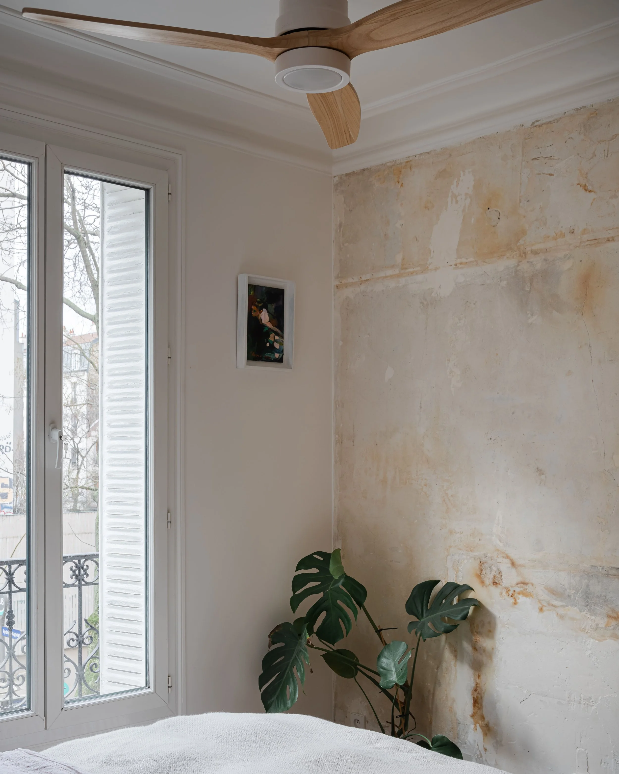 Une chambre avec un plafond à ventilateur en bois, un mur beige texturé et une grande fenêtre laissant entrer la lumière naturelle, avec une plante verte à côté du mur.