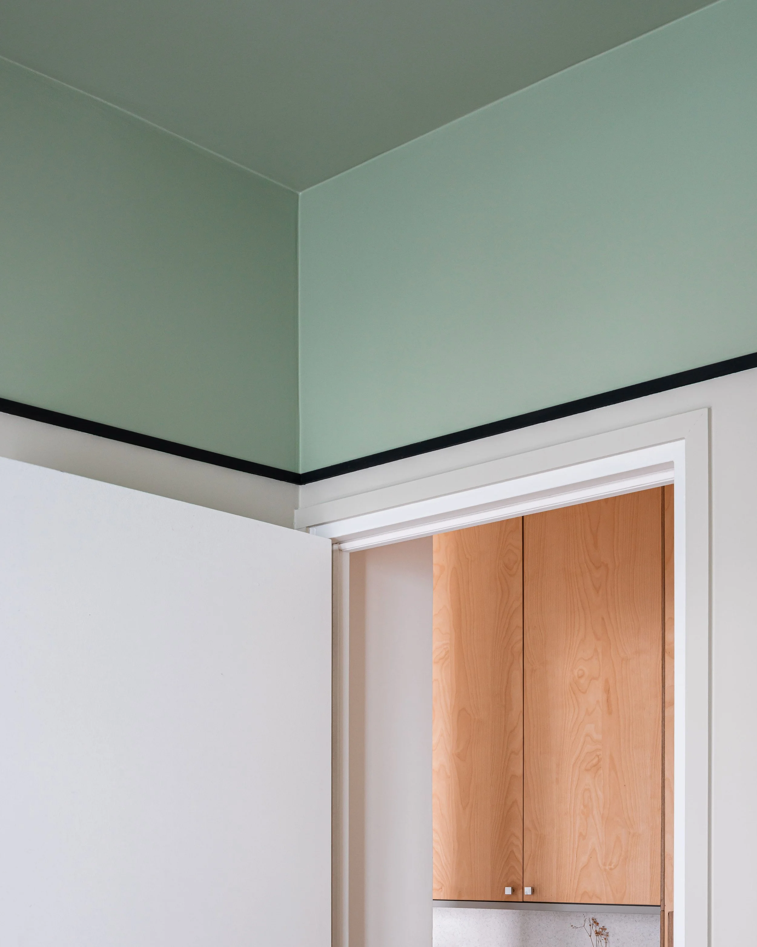 Vue d'une pièce avec un plafond vert pâle, un mur blanc, un cadre de porte blanc et une porte en bois clair.