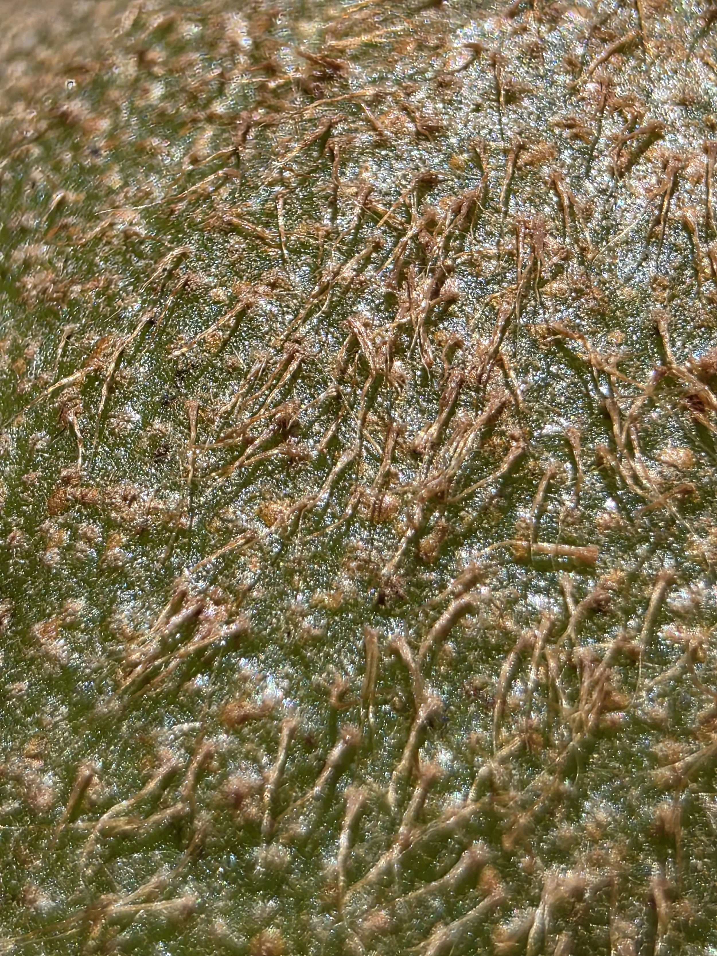 20260613_145644.jpg