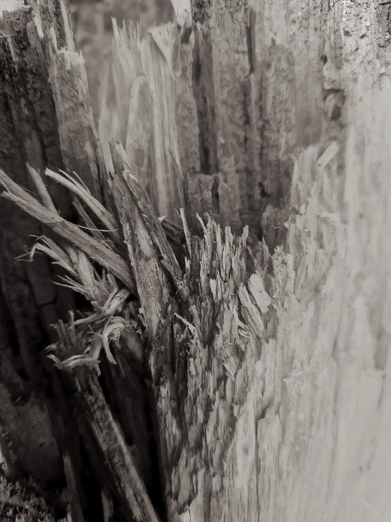 Texture