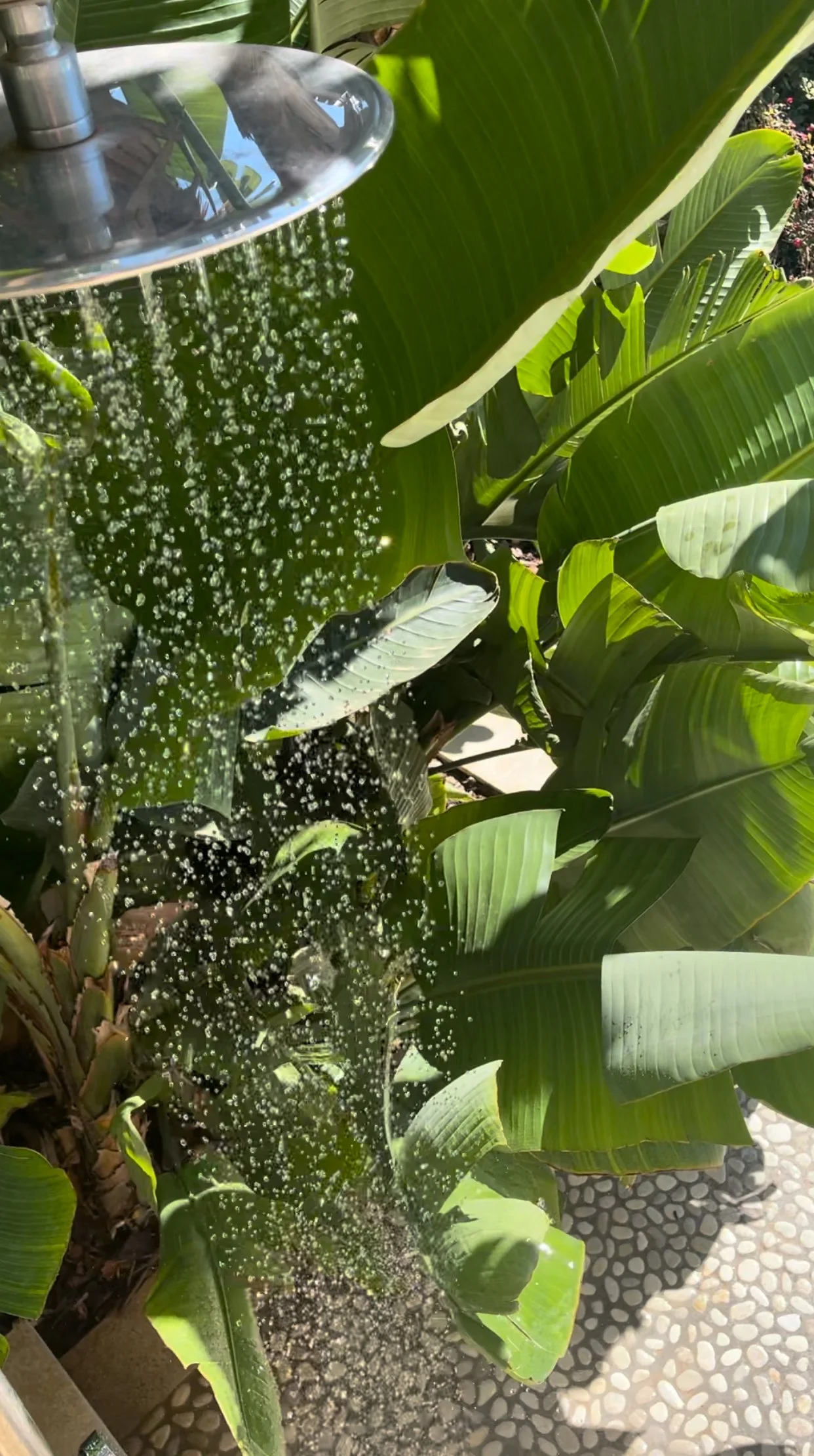 Vis nylige bilder 14.jpeg