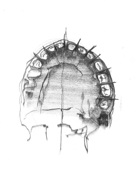 Skjermbilde 2025-02-28 kl. 11.48.26.jpg