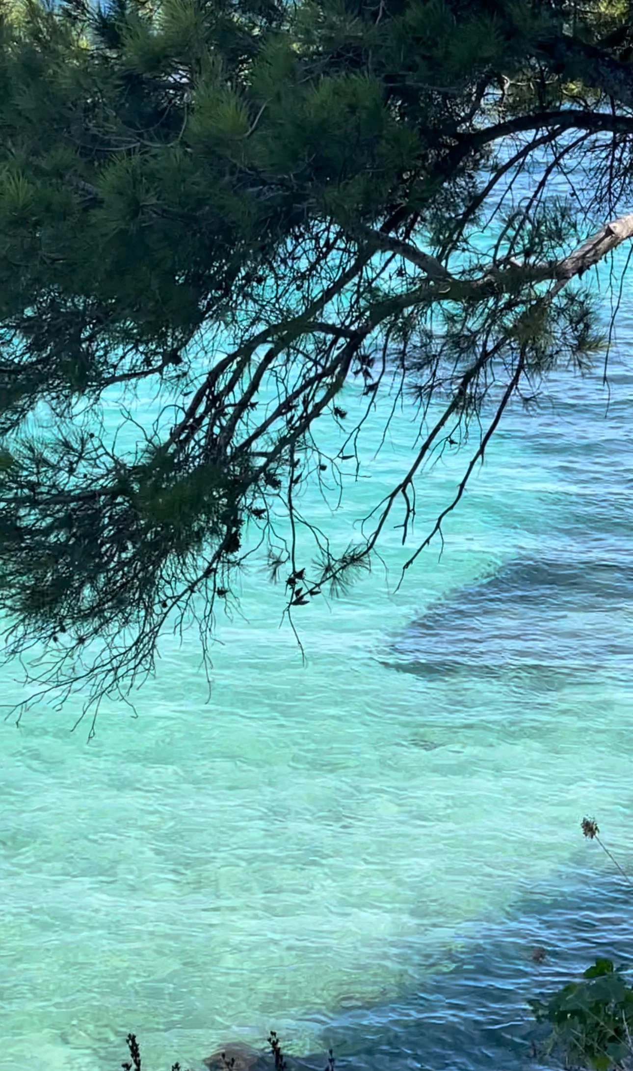 Vis nylige bilder 13.jpeg