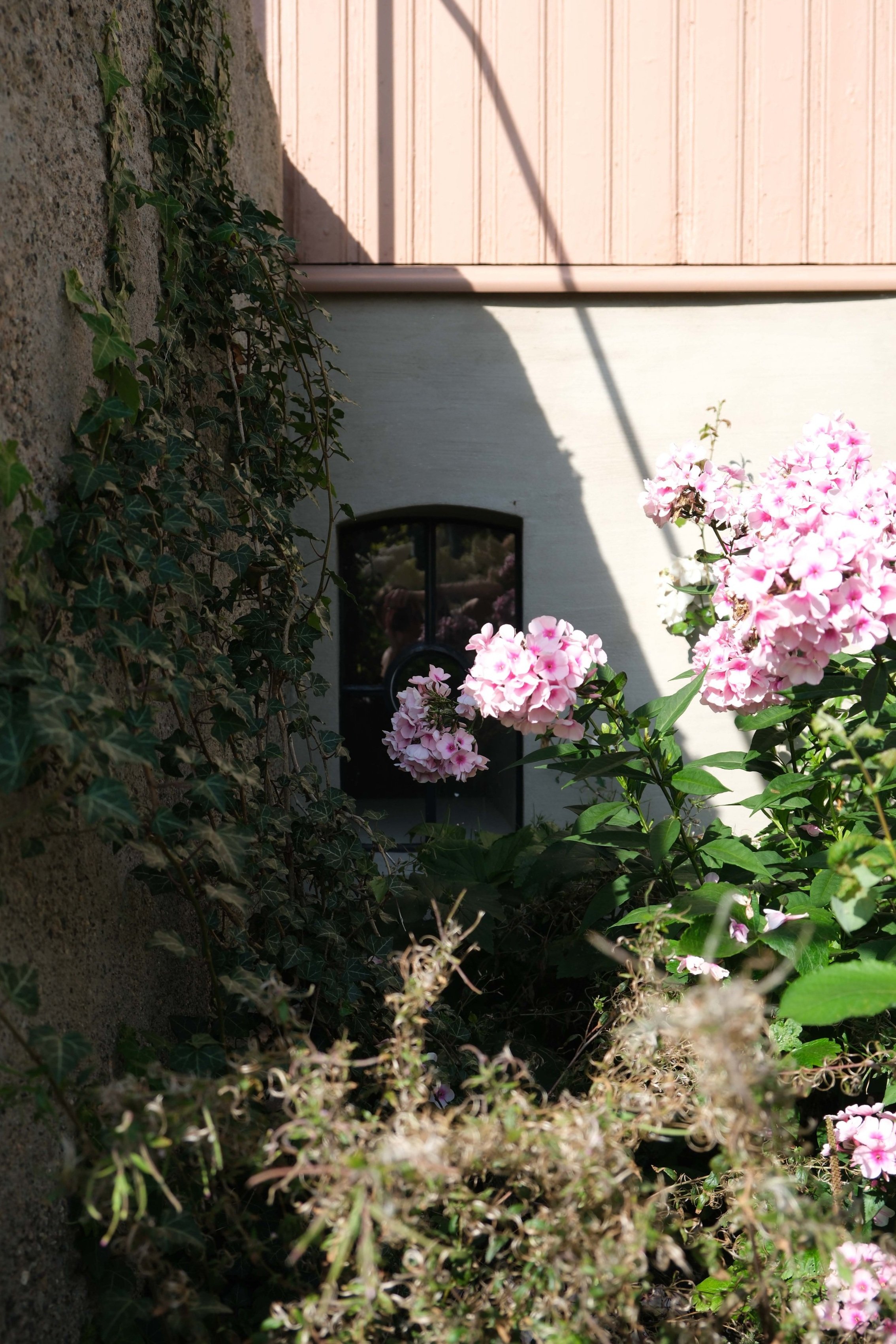 DSCF3690.jpg
