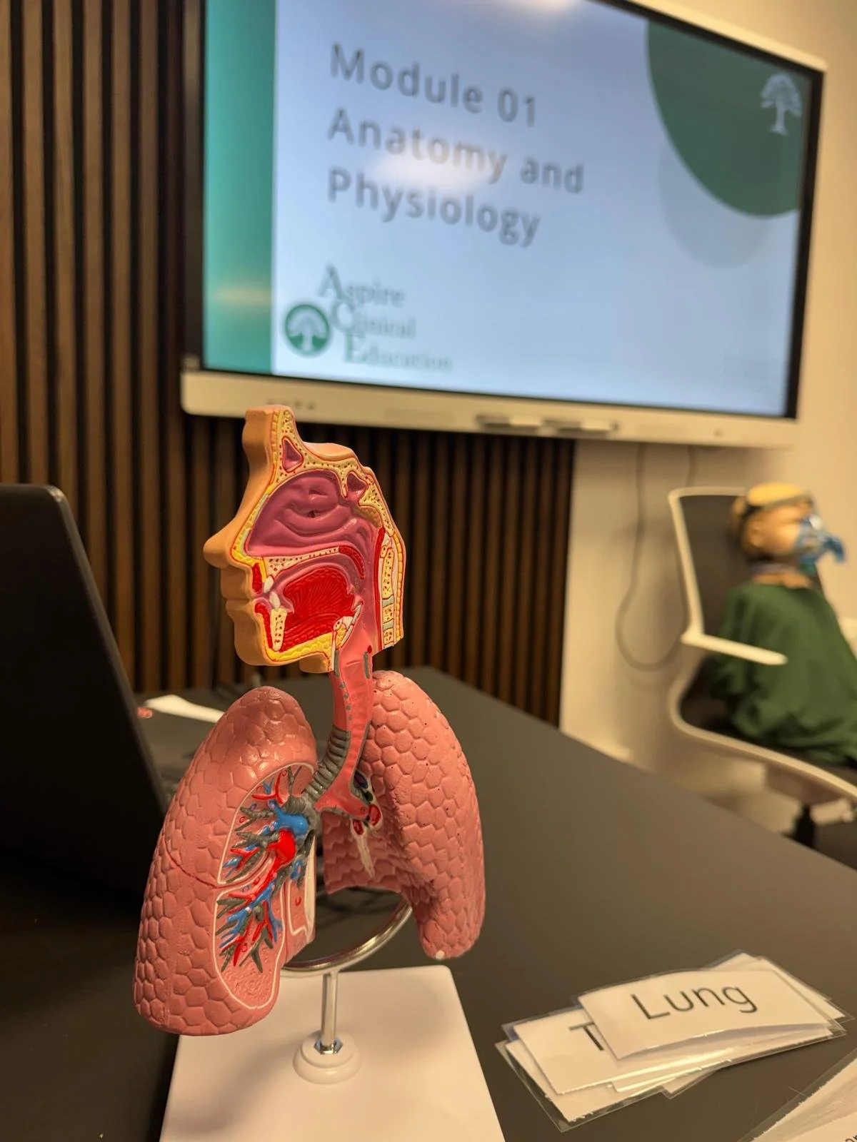 Close up of a lung anatomy against a large screen displaying training