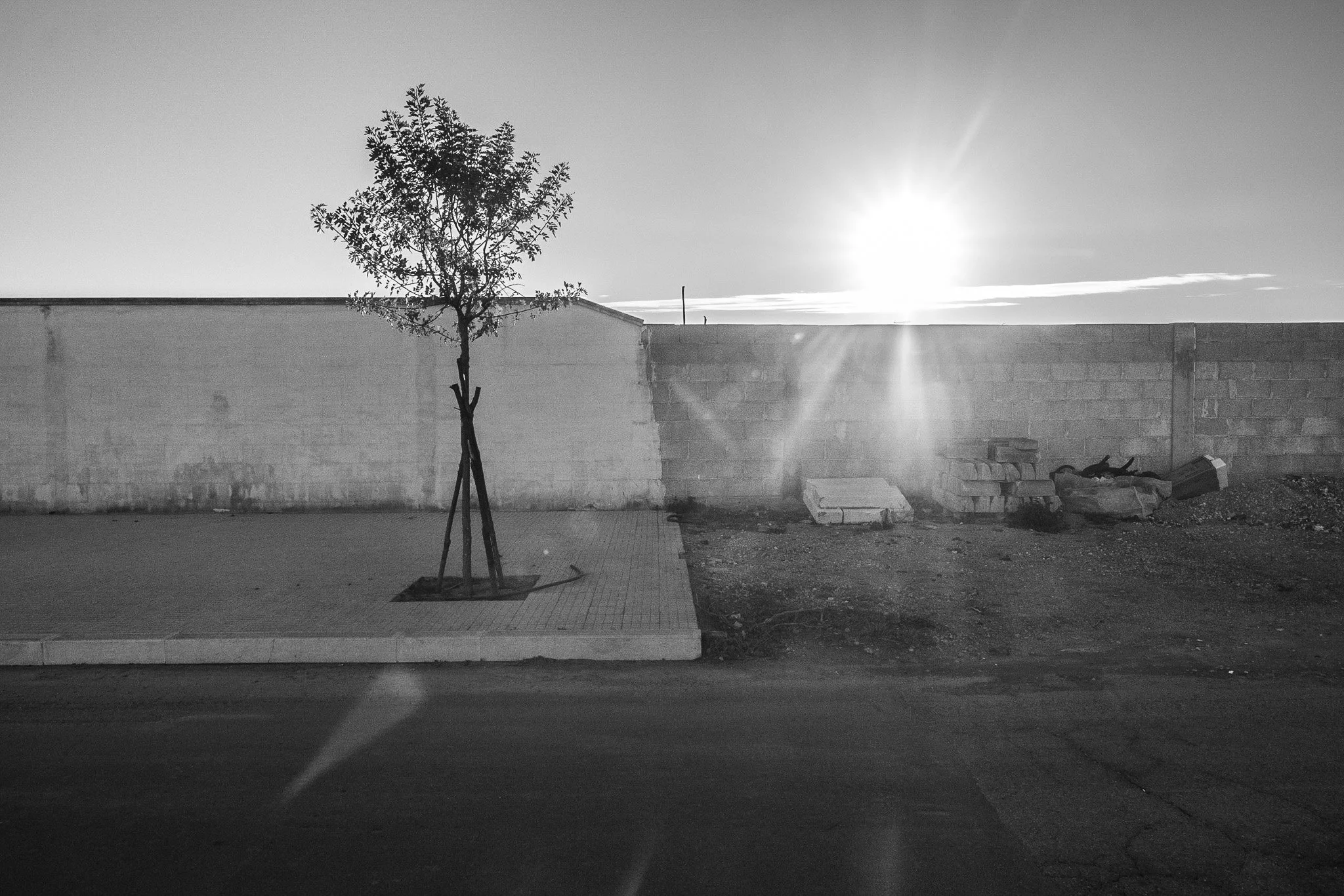 DSCF0516.jpg