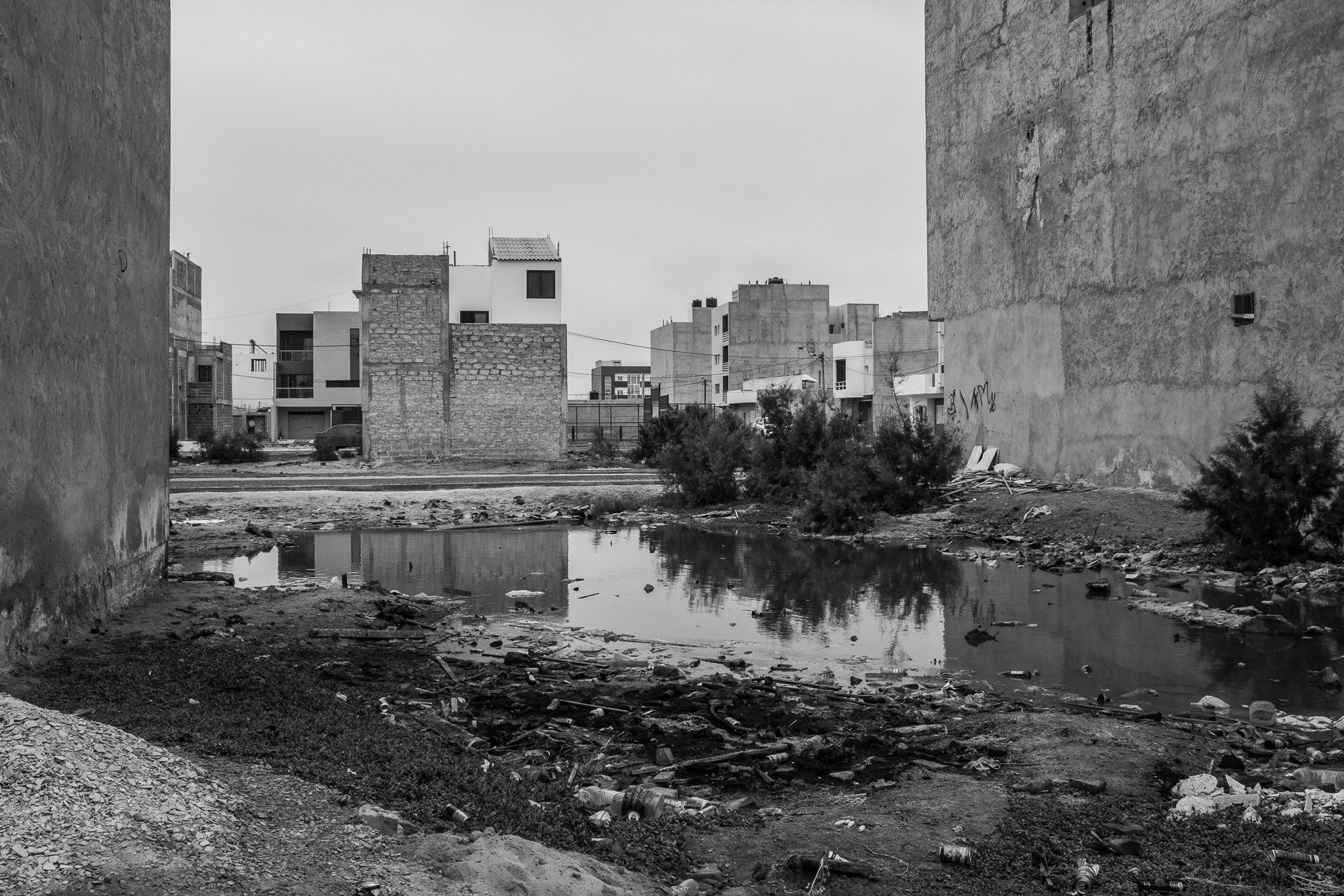 DSCF4729.jpg