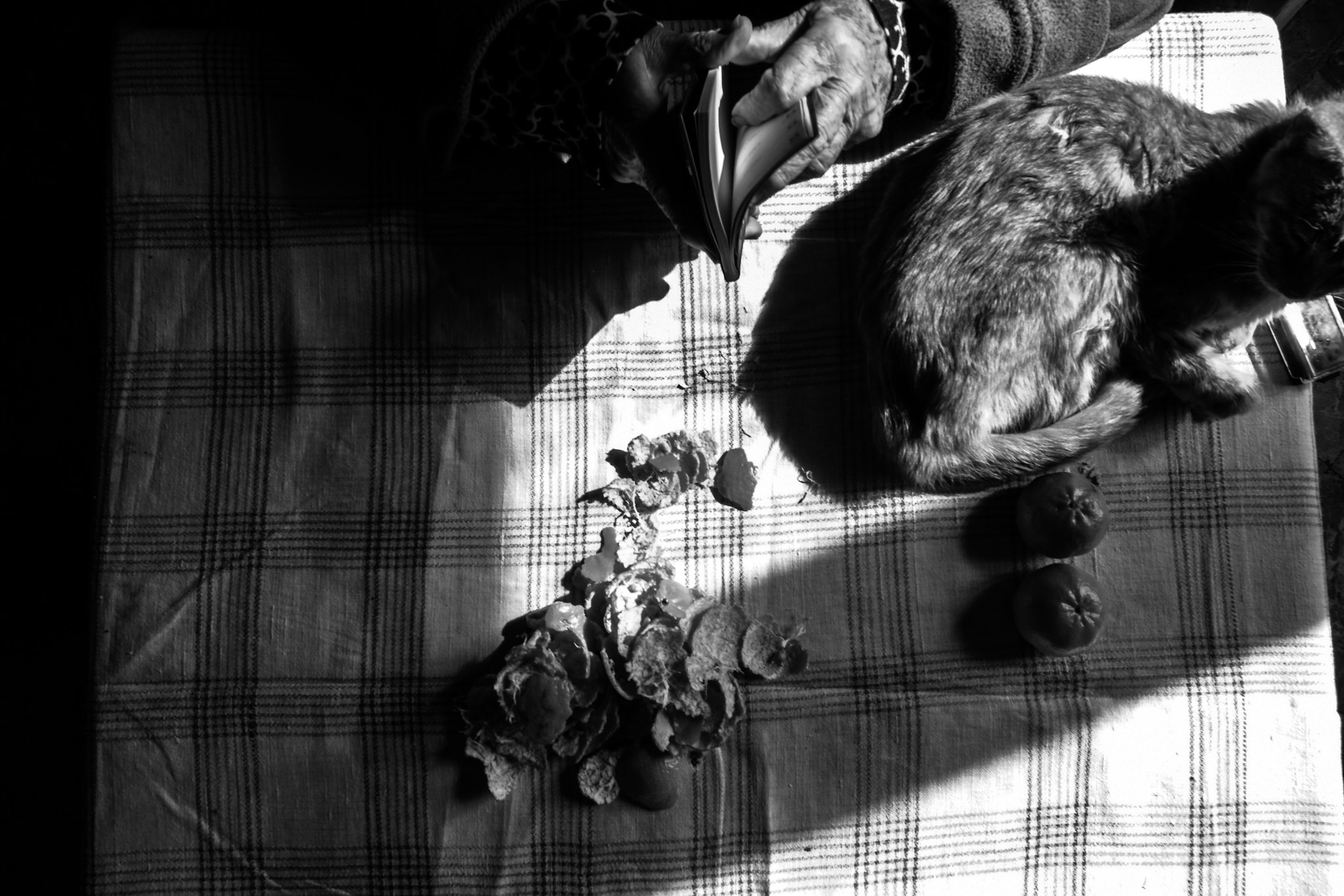 9_DSCF3375.jpg