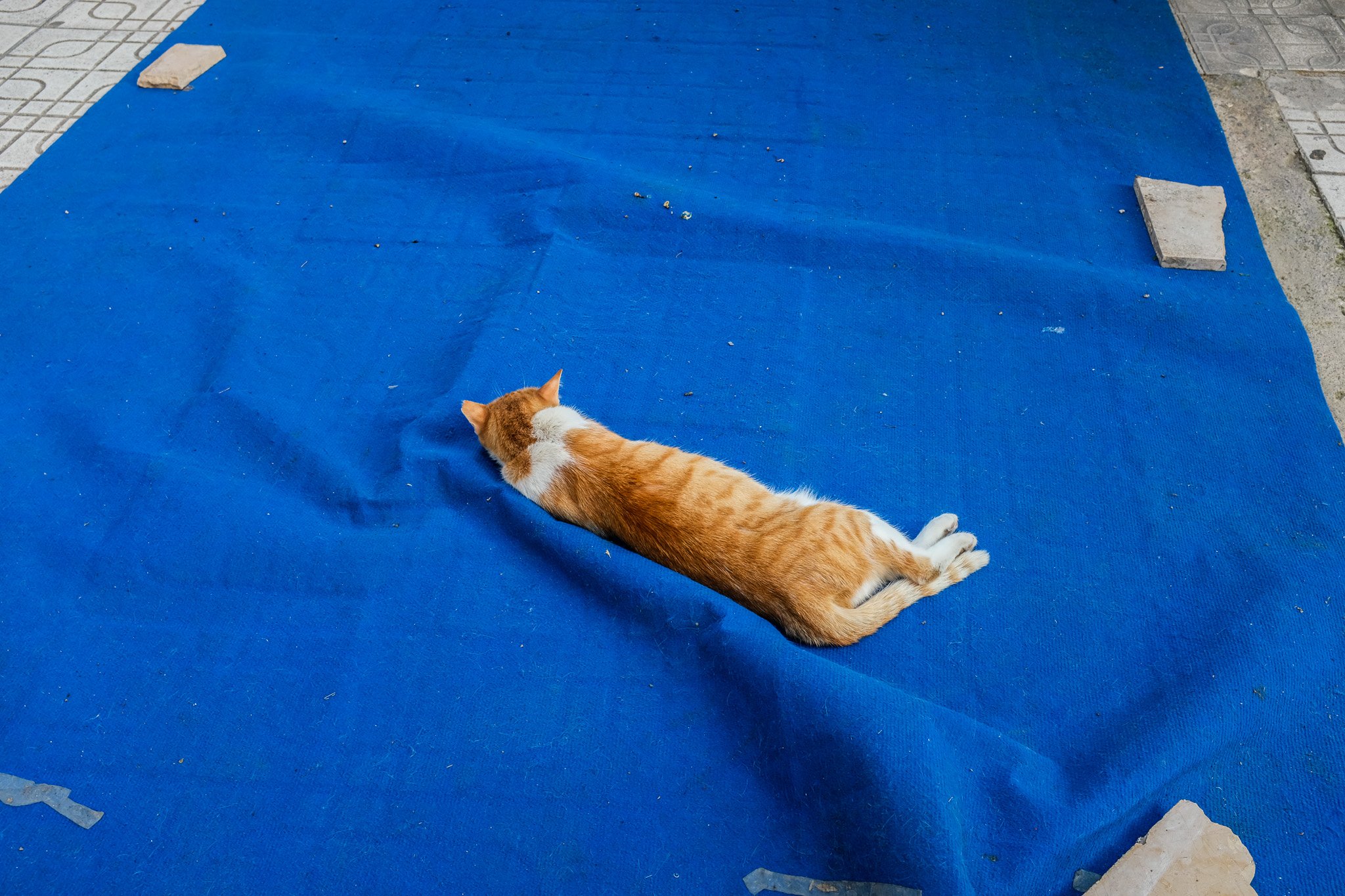 DSCF9672.jpg