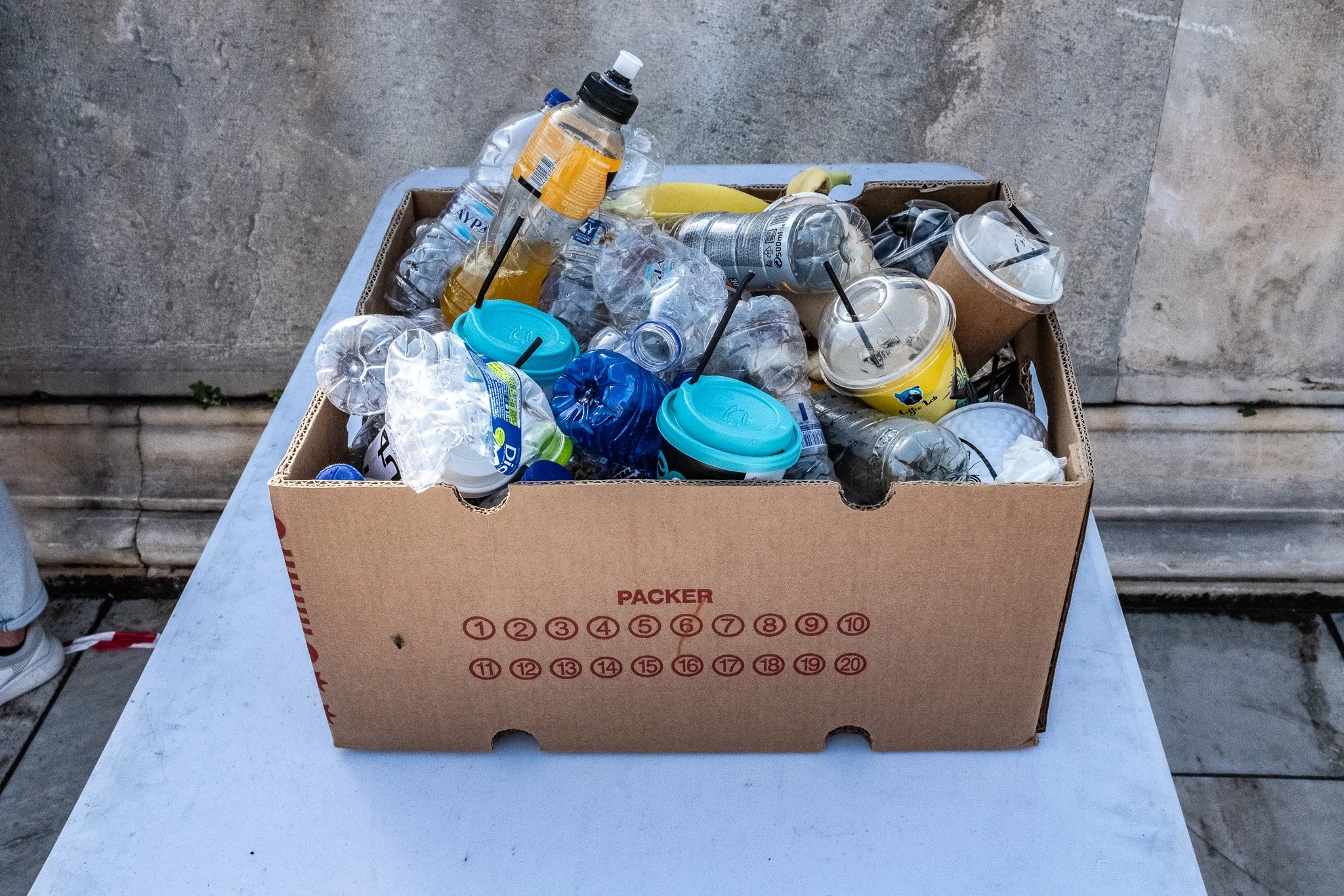 DSCF9503.jpg