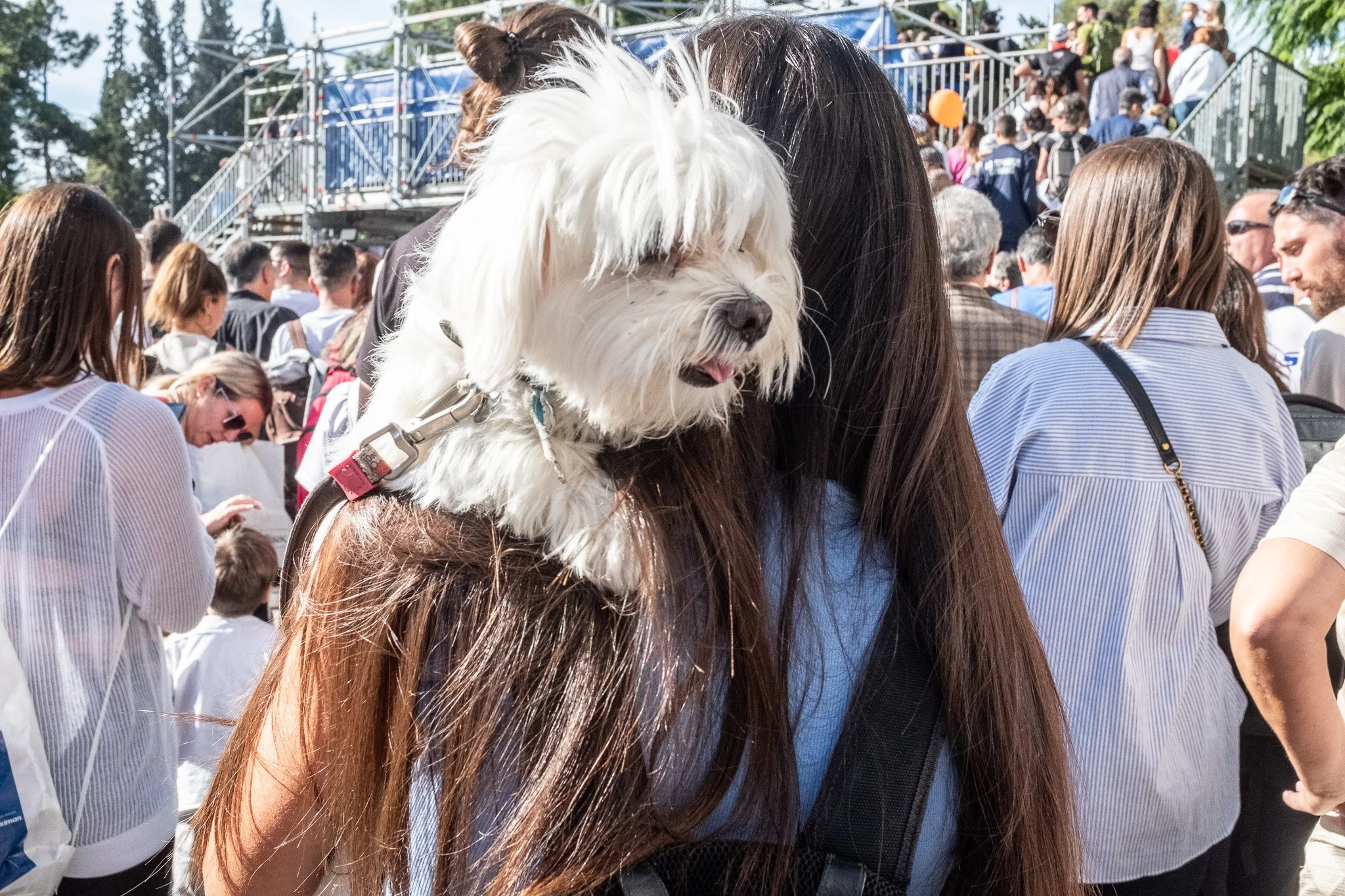 DSCF9481.jpg