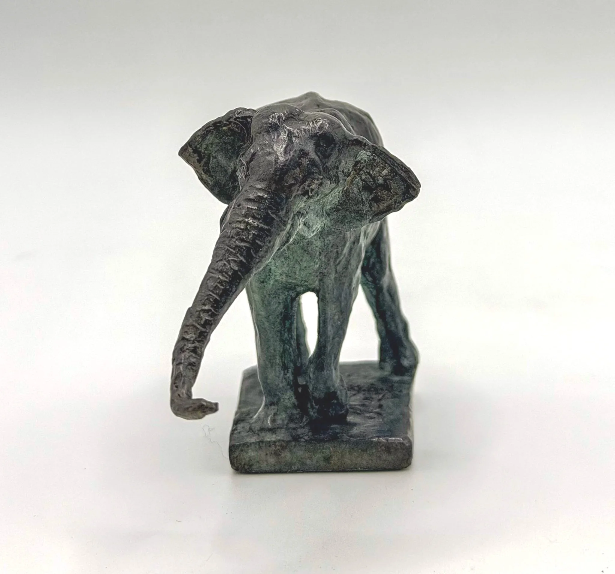 Asian Elephant Stretching