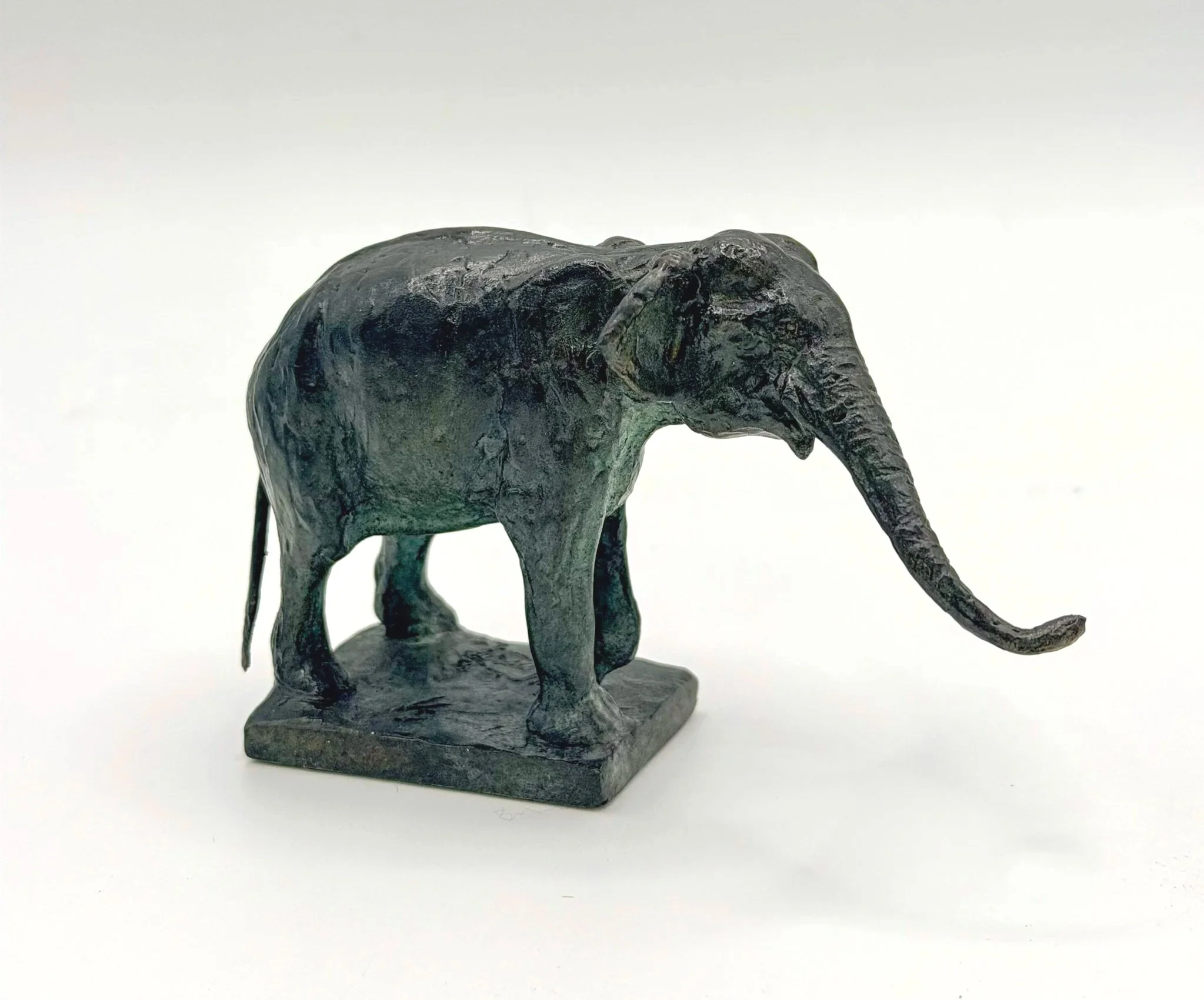 Asian Elephant Stretching