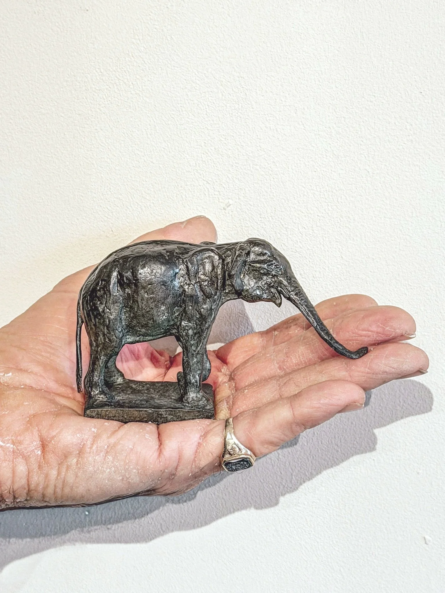 Asian Elephant Stretching
