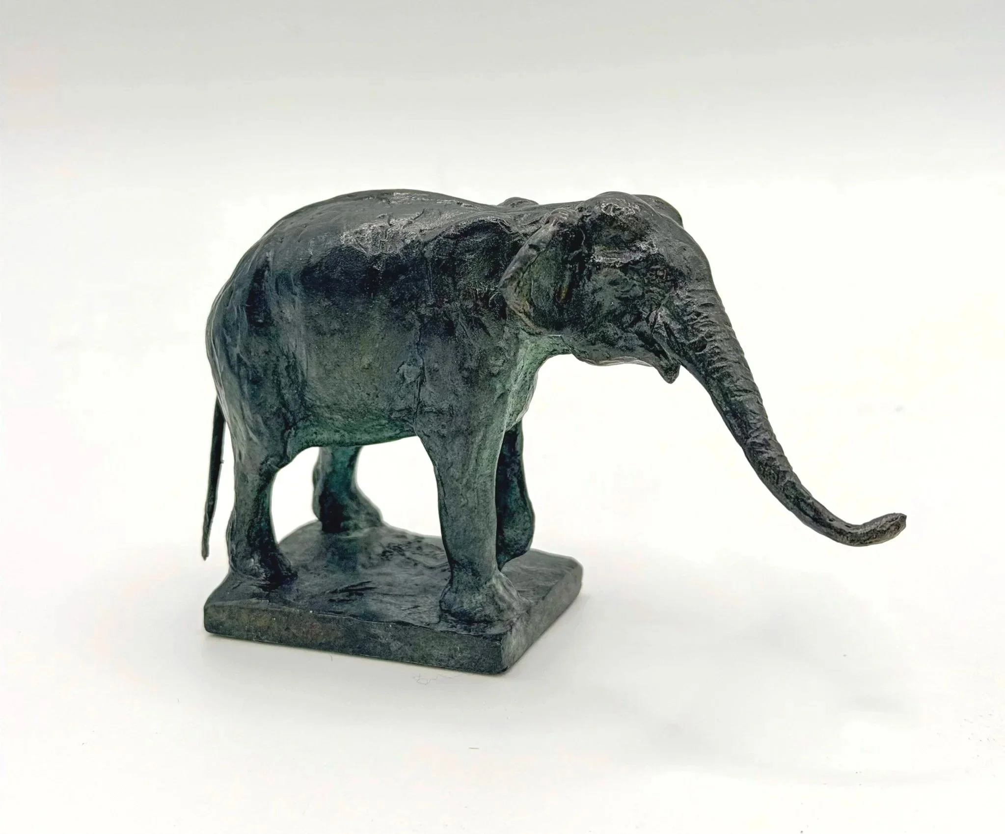 Asian Elephant Stretching