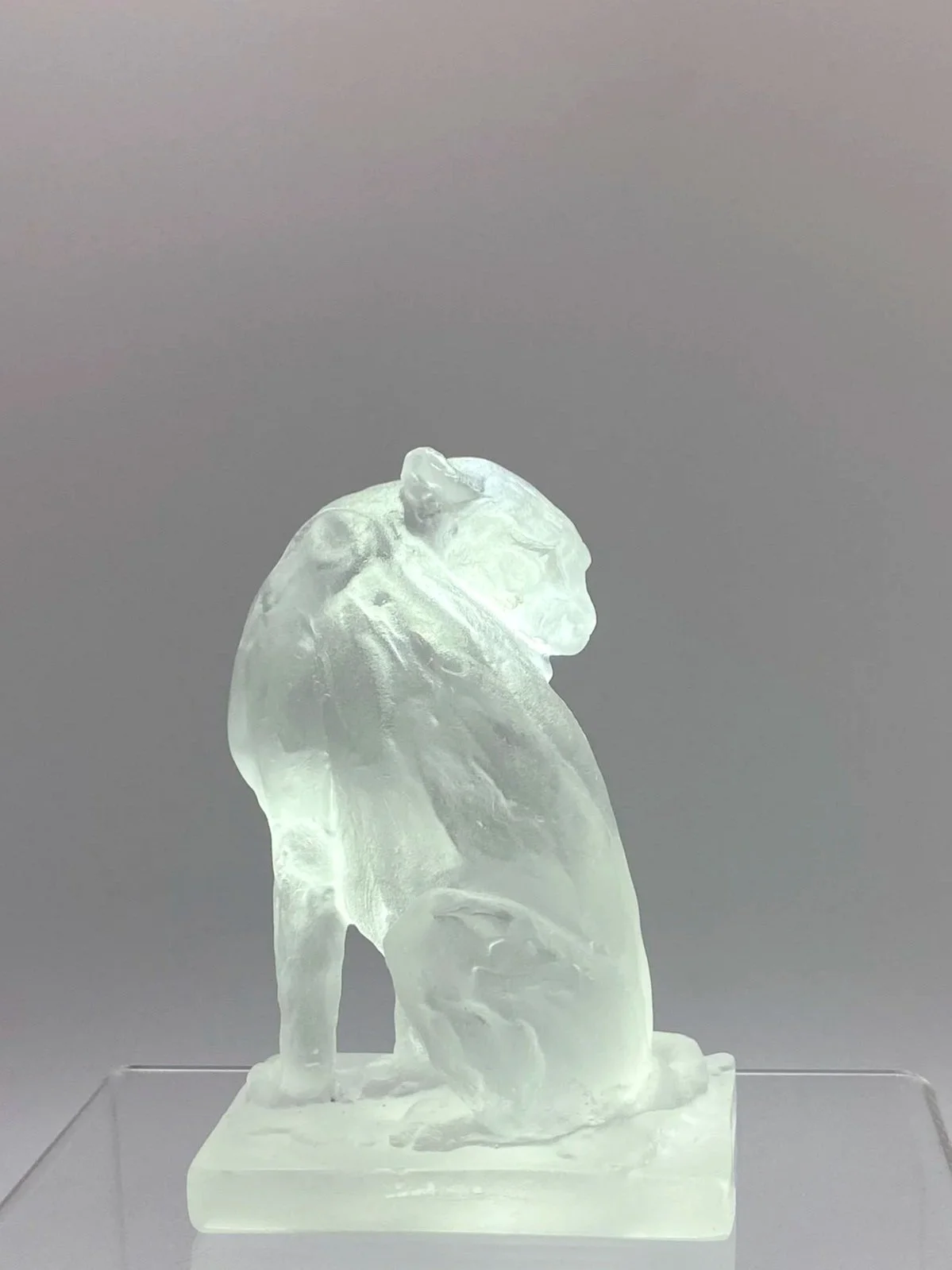 Glass Seated Grooming Leopard