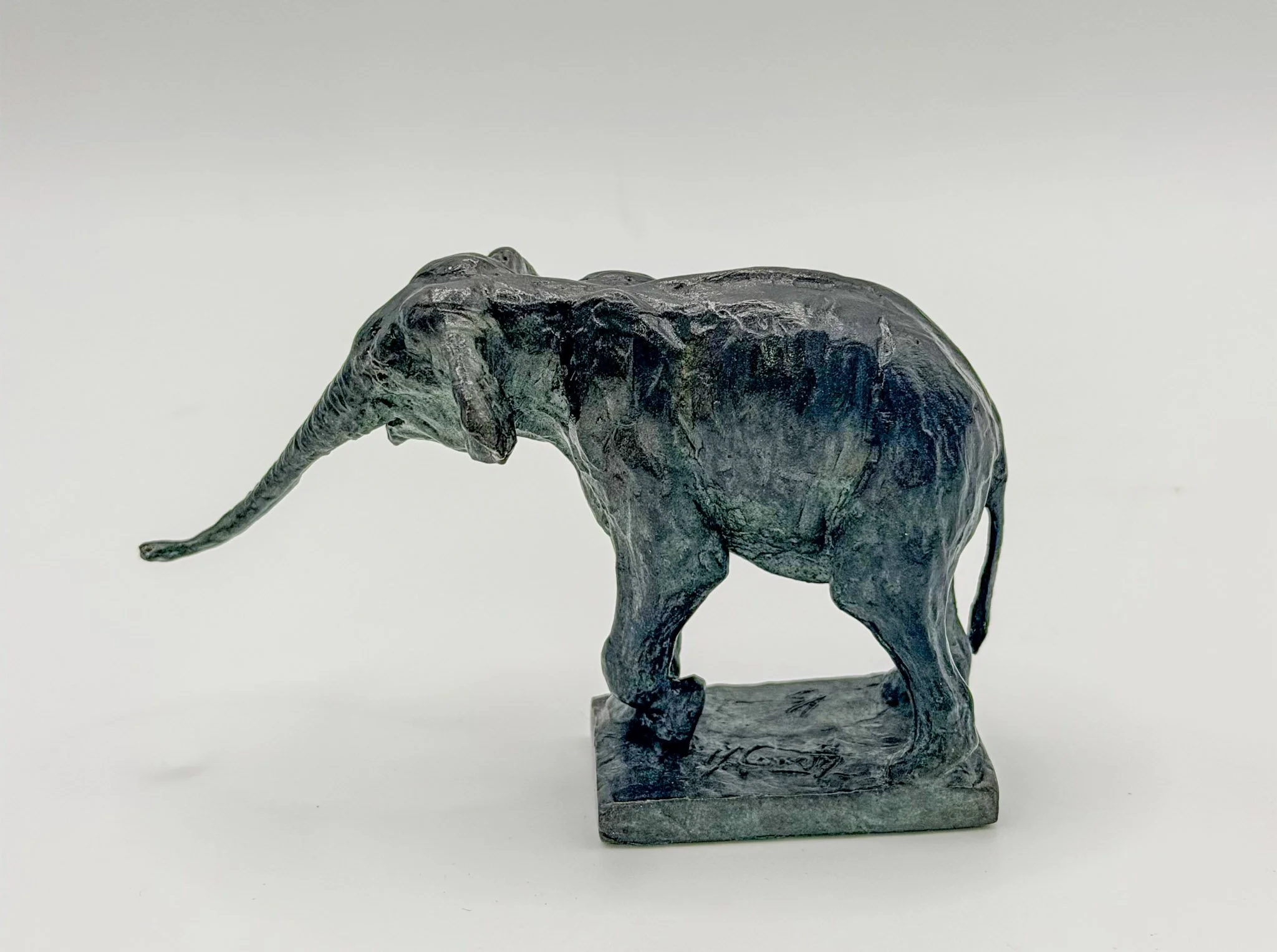 Asian Elephant Stretching