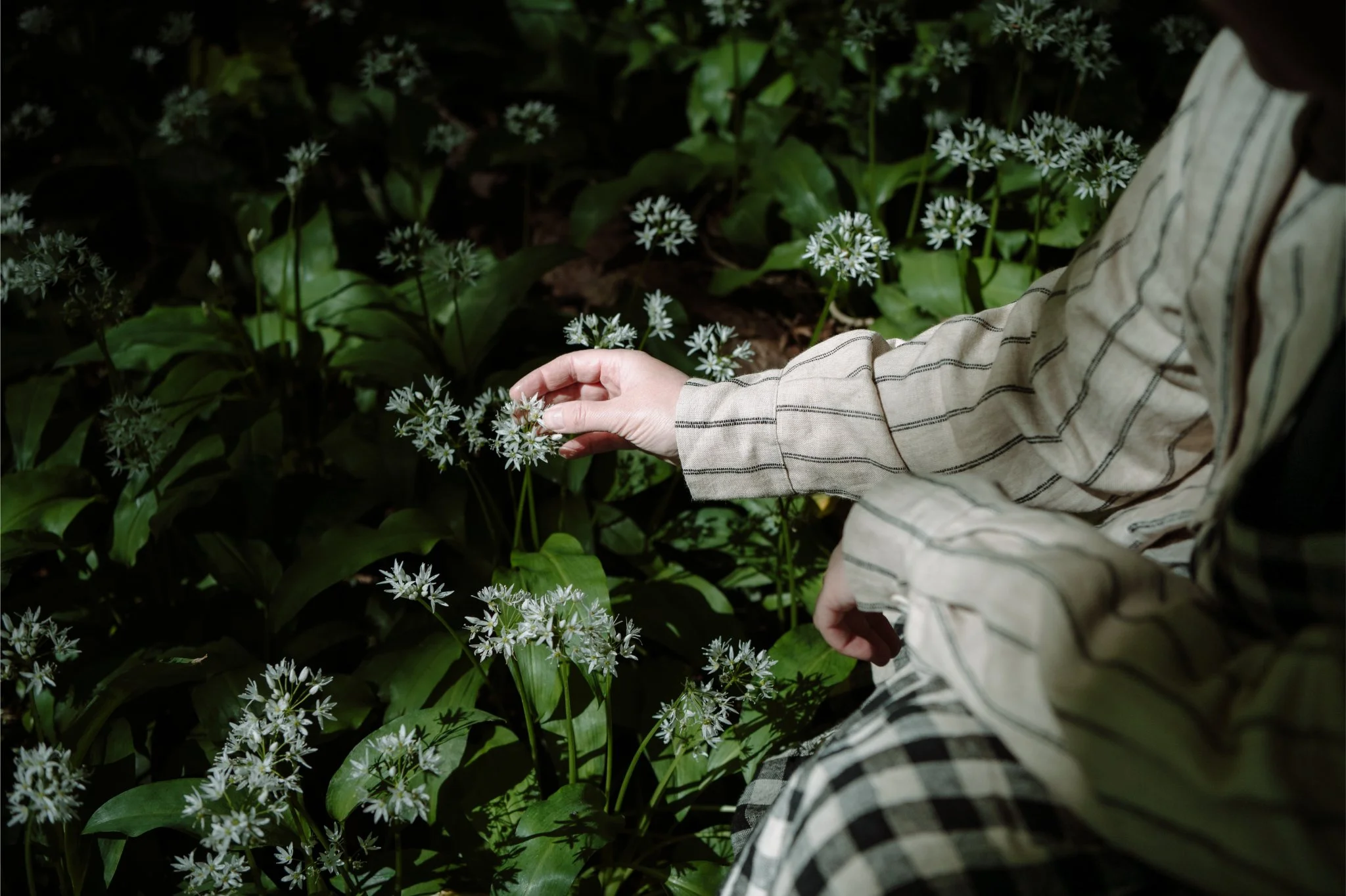 C'est Tout Interiors