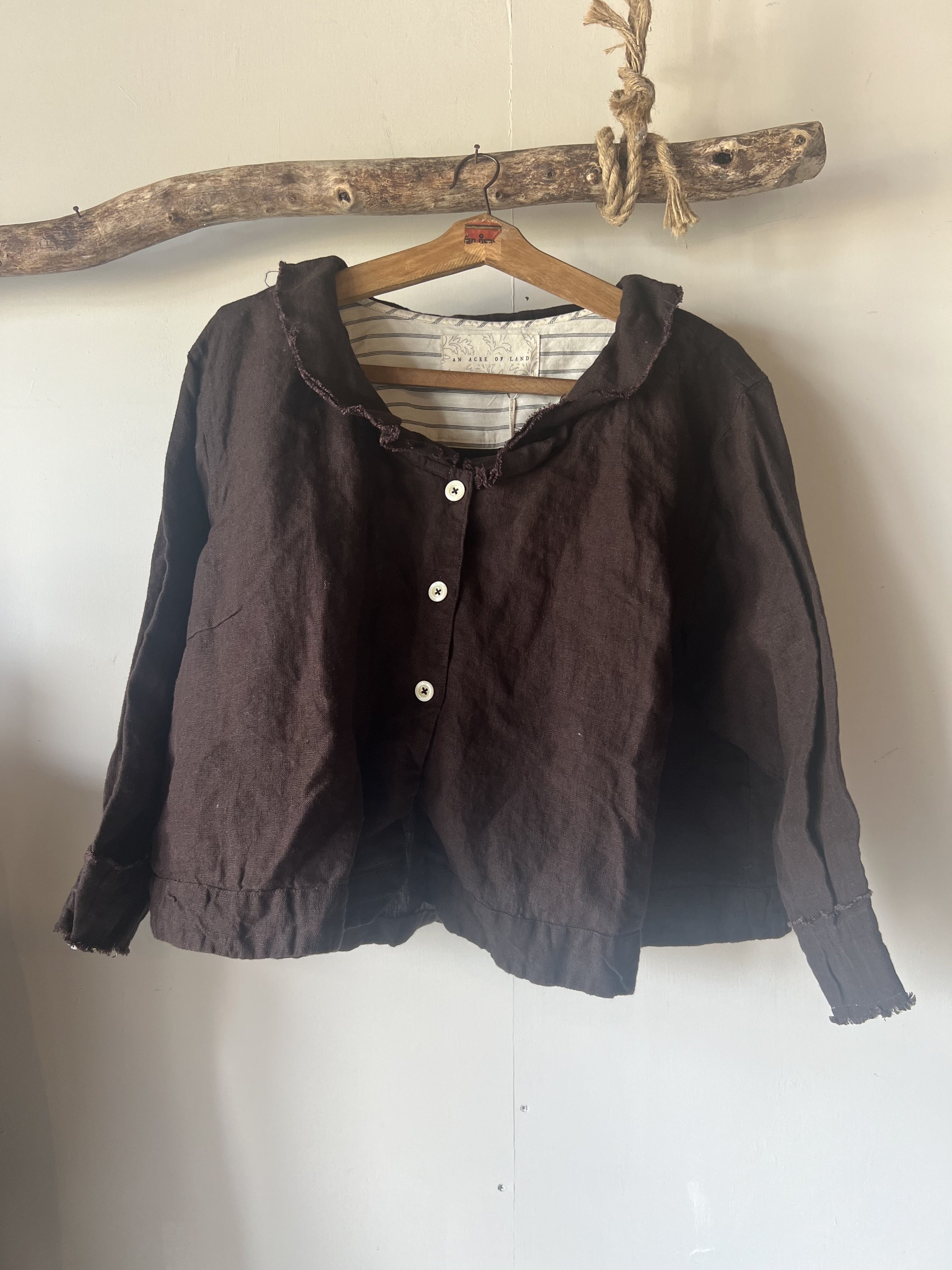 The Little Jacket.jpeg