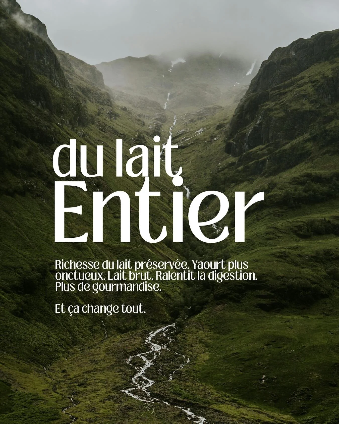 Pour nos yaourts et desserts, nous utilisons du lait entier. Et &ccedil;a fait toute la diff&eacute;rence. 

Richesse du lait, un yaourt plus onctueux, du lait brut, ralentit la digestion, plus de gourmandise.