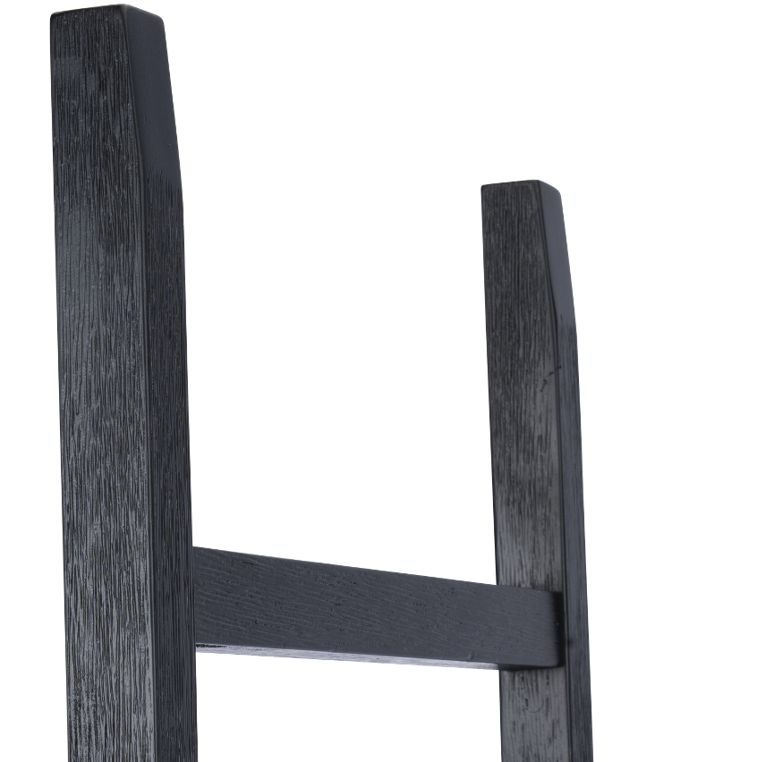 COYOTE ladder view.png