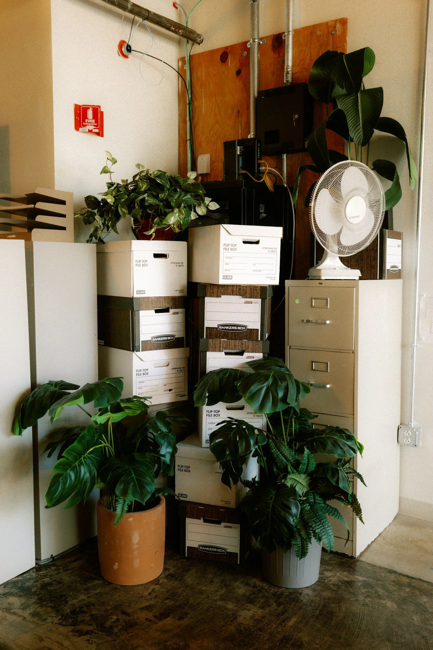 messy office boxes plants