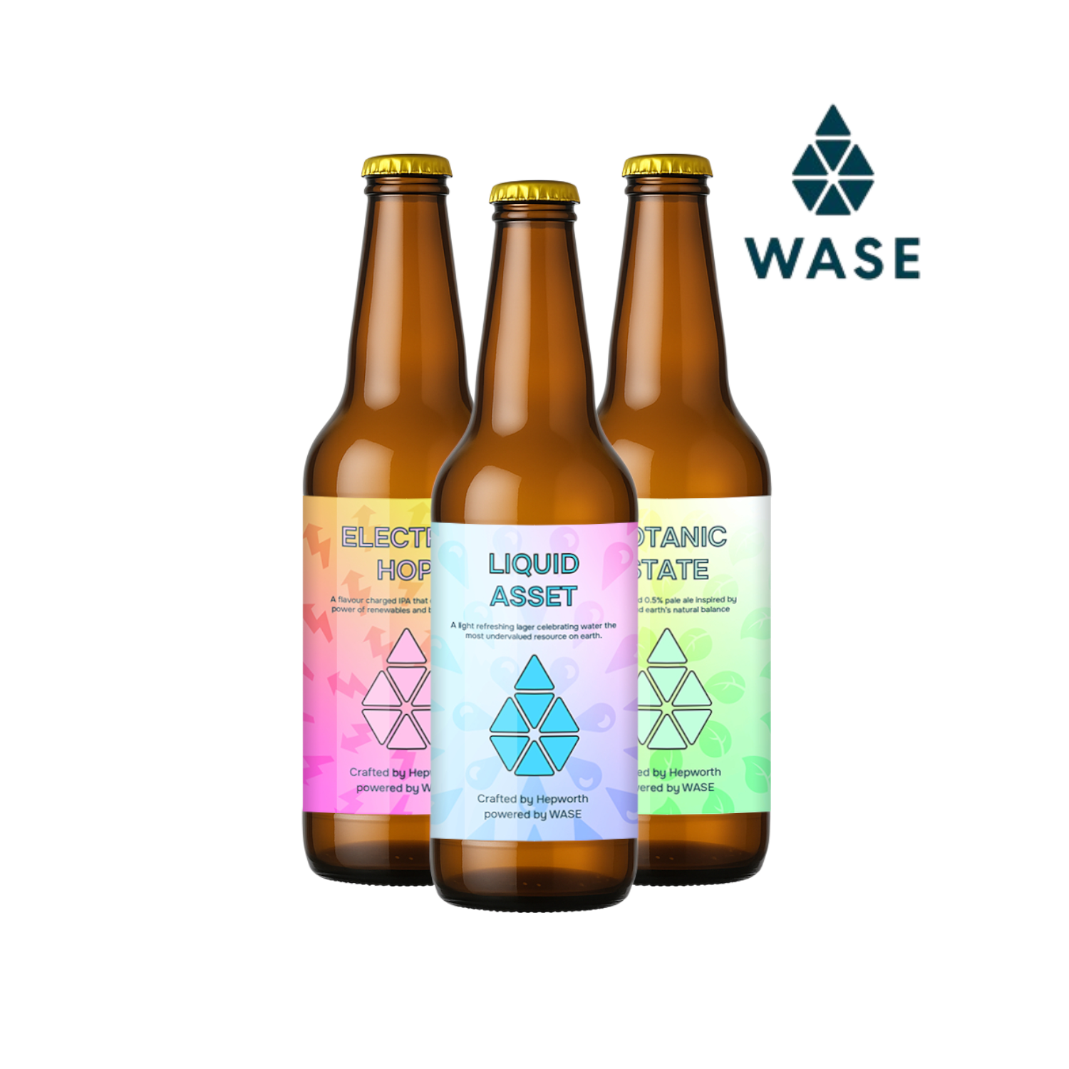Hepworth × WASE Collaboration 3-Pack