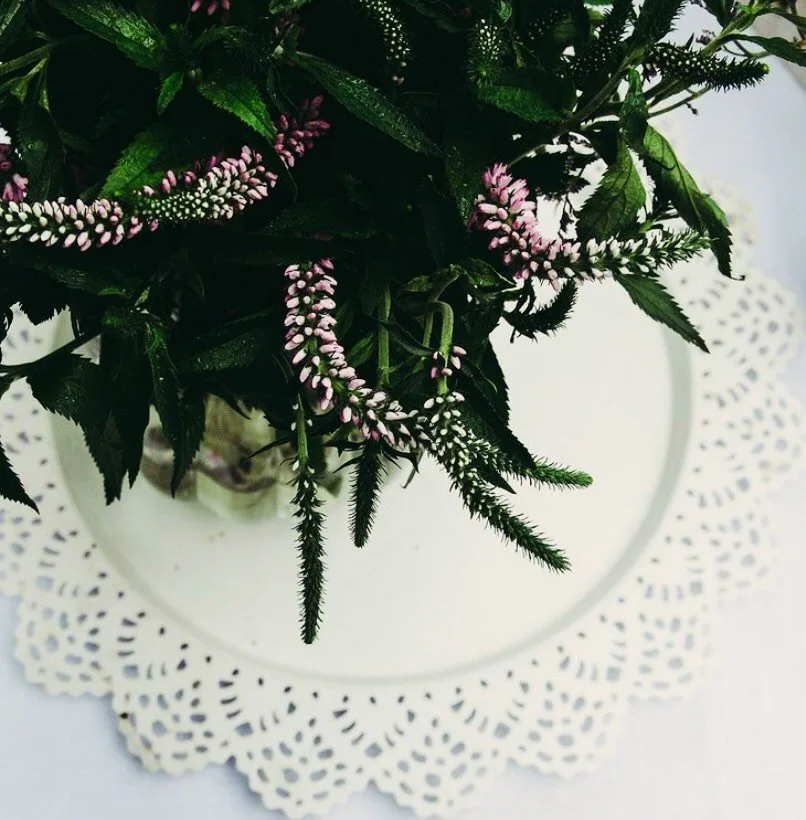 I&rsquo;ll bring the flowers and the know how&hellip; you bring the laughter and the fun.. deal?!