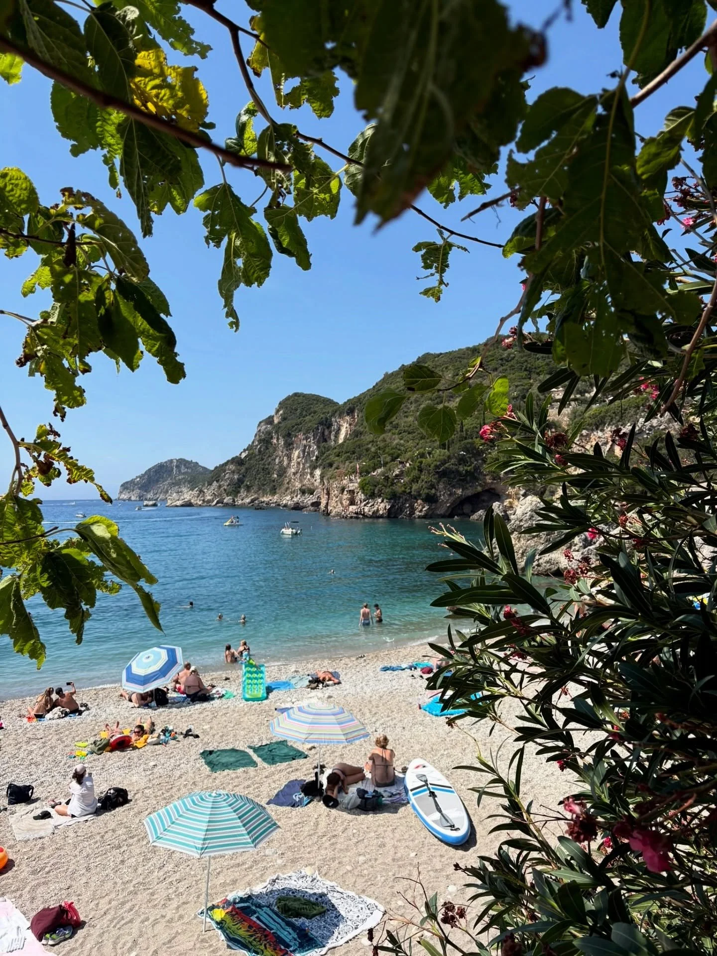 A magical holiday in Corfu with my favourite people, reliving the trip that inspired my first book 🇬🇷 ☀️ 📕 

#GreeceHoliday #CorfuTravel #GreekIsland #BooksSetInGreece #LieToMe