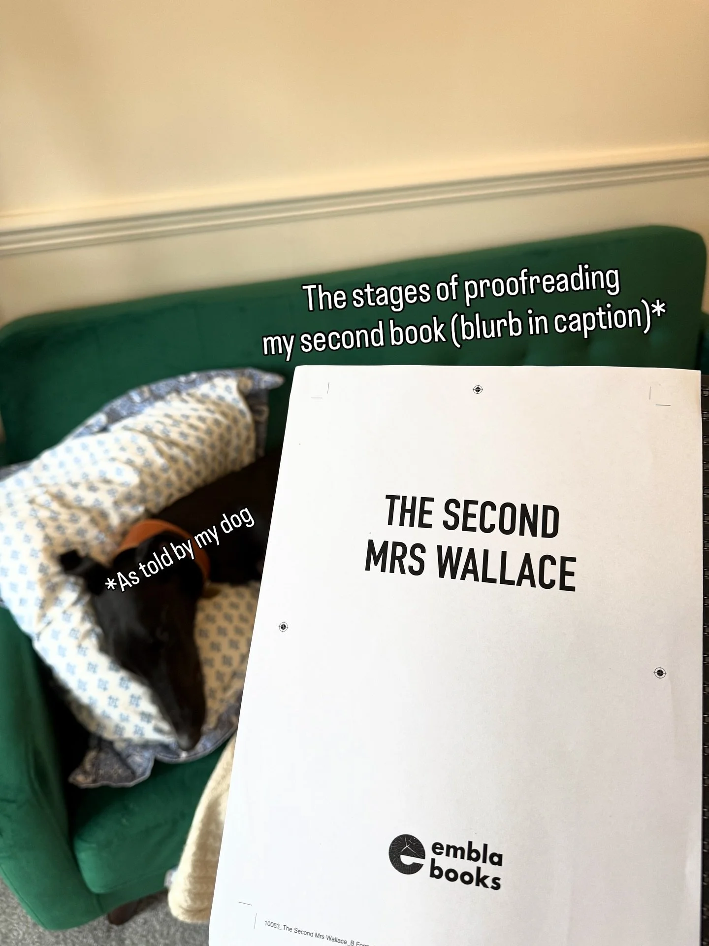 The Second Mrs Wallace is out on 3 December ⛷️ ❄️ ⬇️ Link to pre-order in bio 🔗 

Rebecca meets White Lotus in this chilling slow-burn suspense set against the glittering backdrop of the sparkling Swiss Alps in the 1960s . . .

Switzerland, 1963.

Y