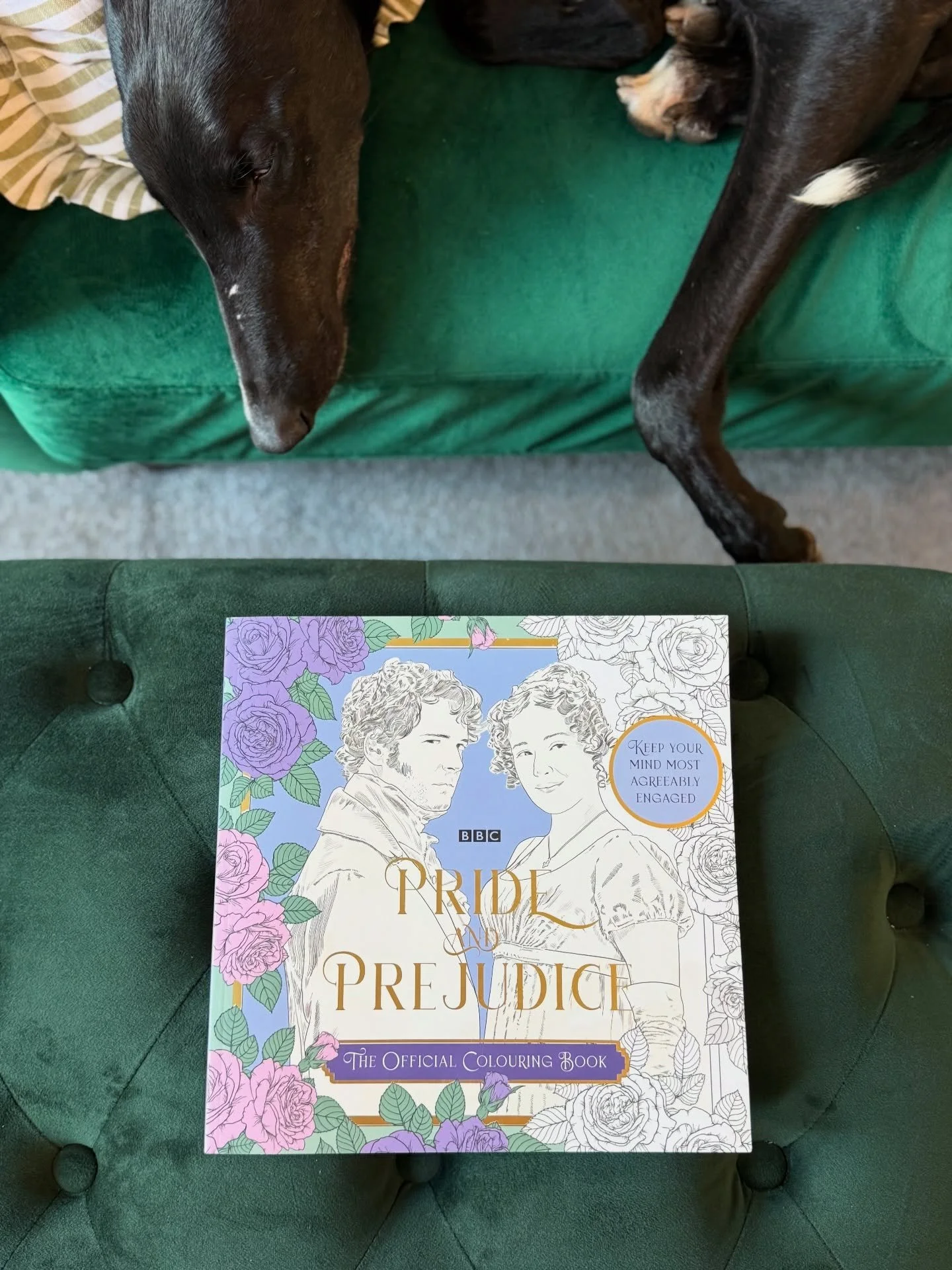 Just a public service announcement to say the new BBC Pride &amp; Prejudice colouring book, illustrated by the ridiculously talented @charlotterickards has landed 🌺 💐 I mean&hellip; look at Colin go!! I&rsquo;ve bought it for myself because I could