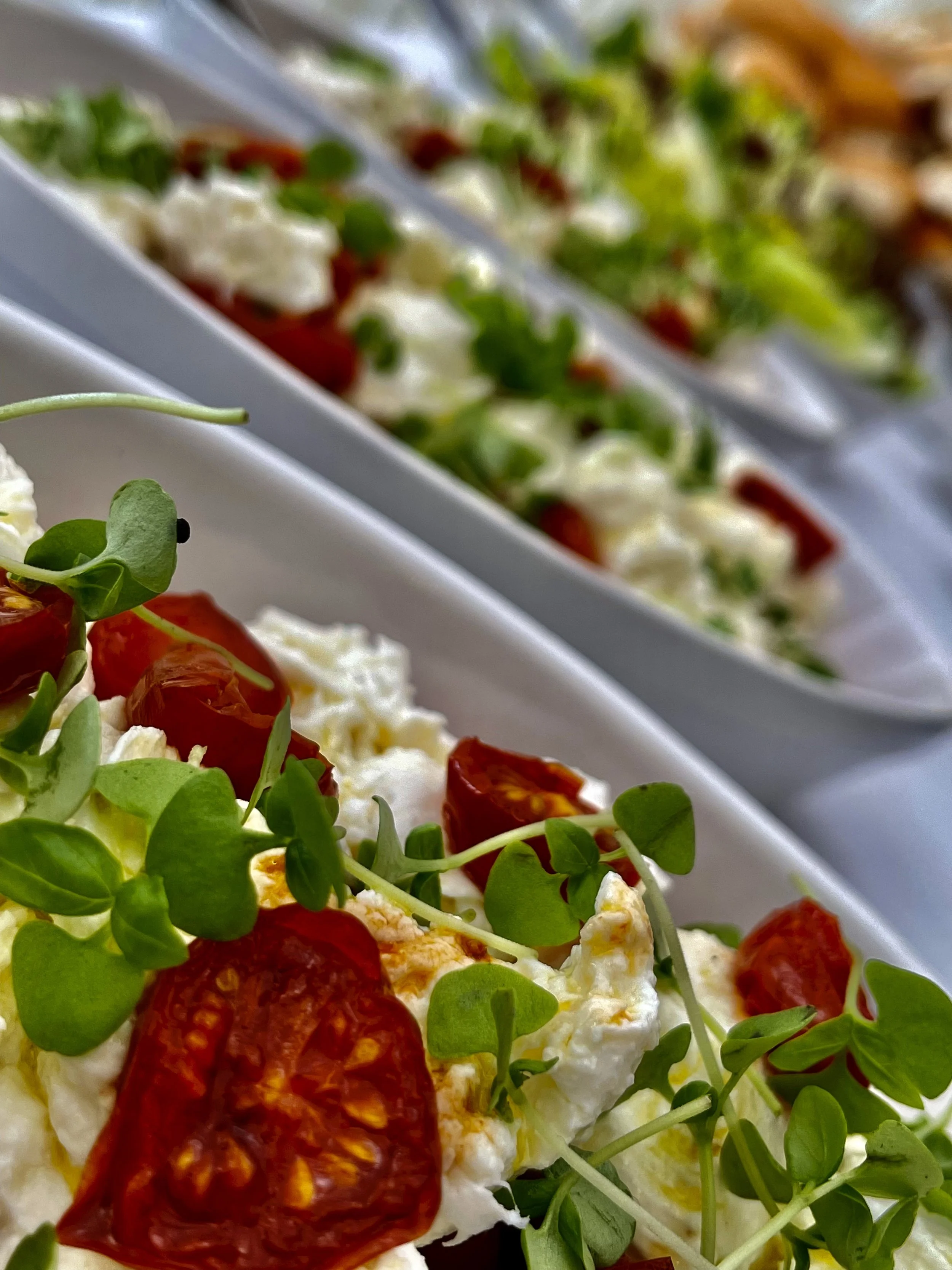 Close-up of a fresh Caprese salad with cherry tomatoes, mozzarella, microgreens, and basil leaves in white serving dishes.