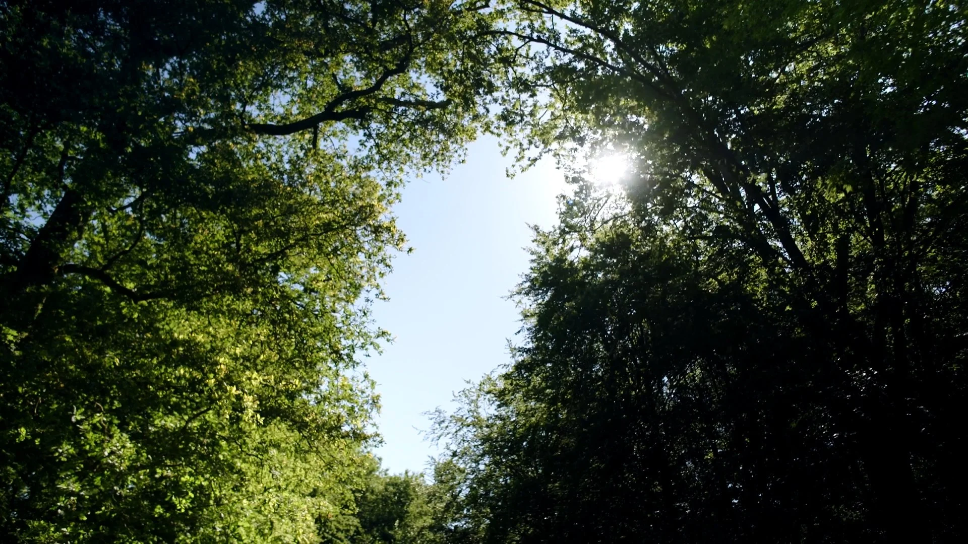 ROUSSEAU_1.57.3.jpg