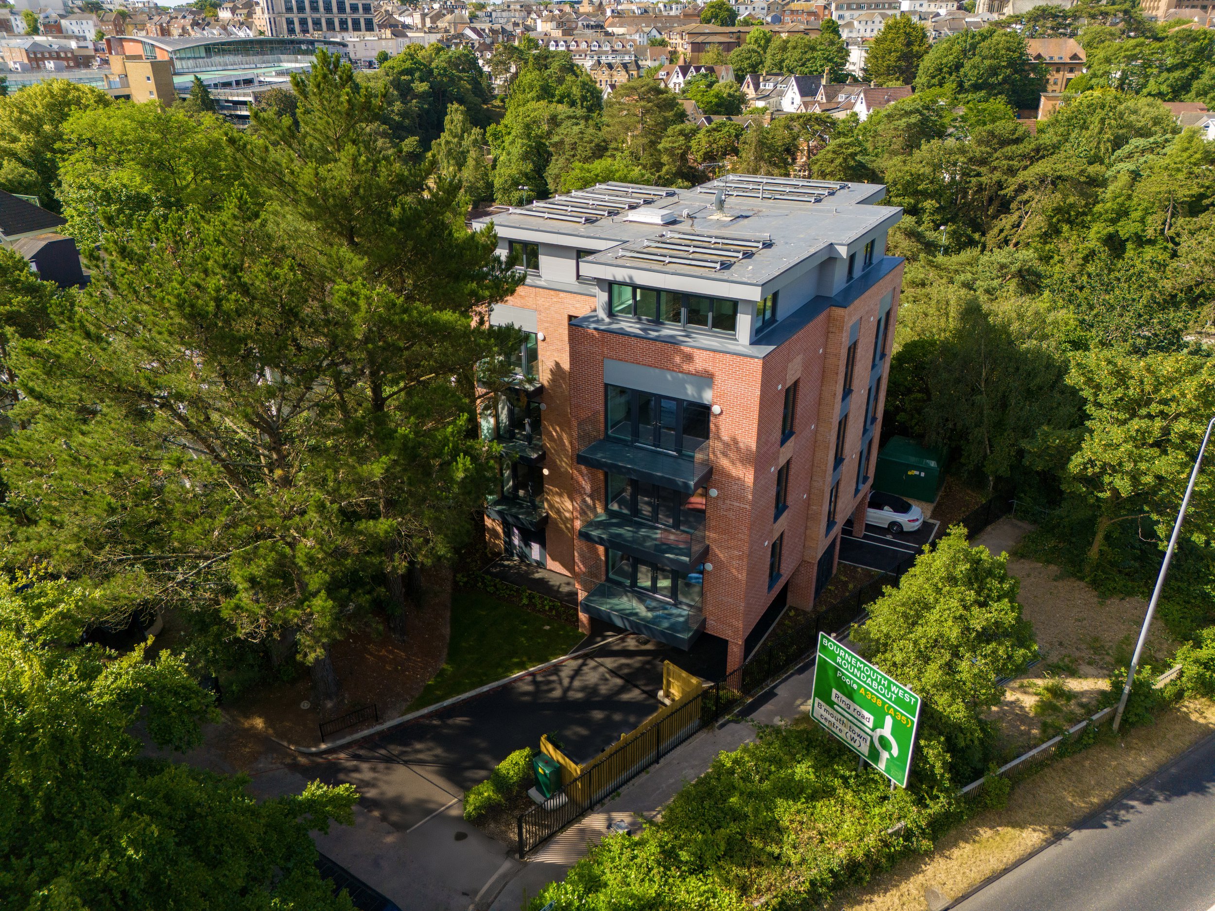 Cabbage Patch Low Res.jpg