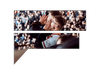 Fanalysis | Powered By Passion