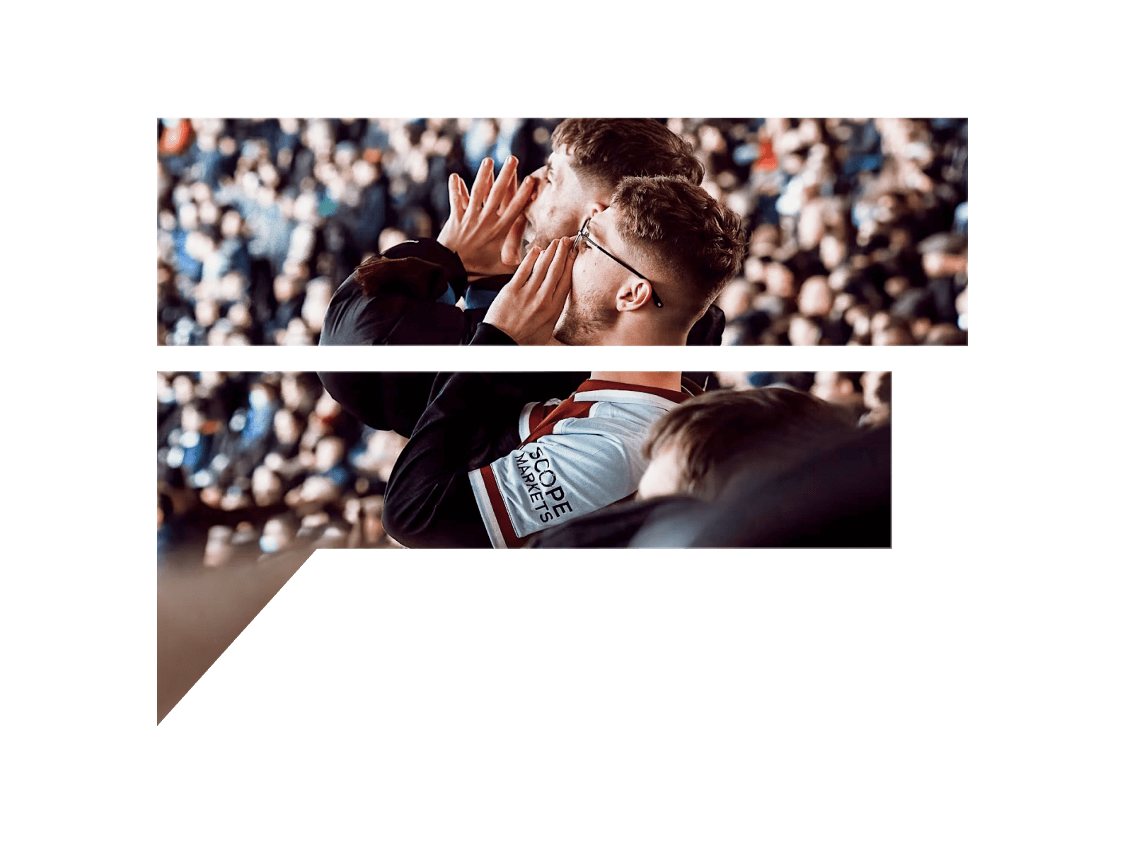 Fanalysis | Powered By Passion