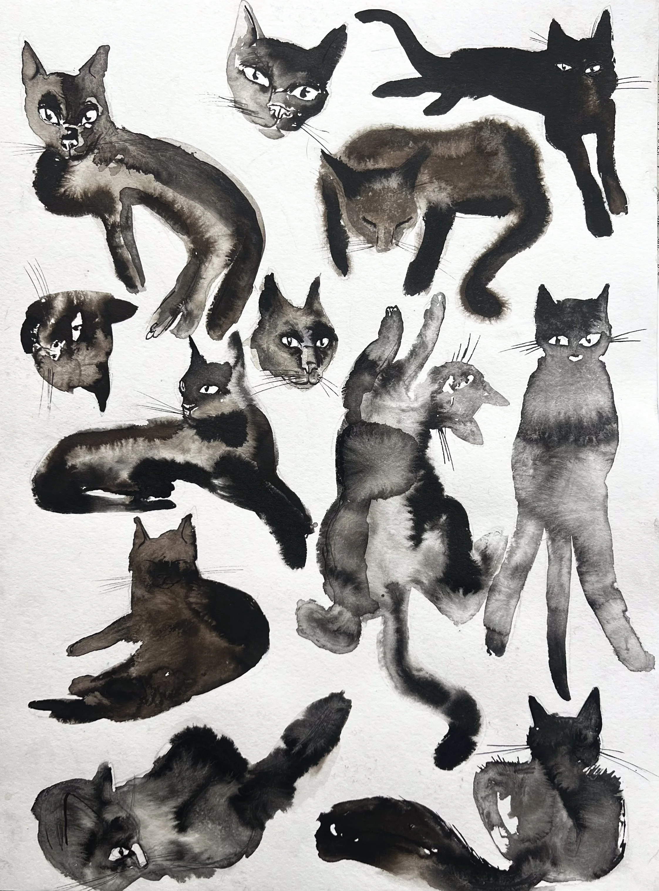 black cats, ink on paper, DIN A3, 2024