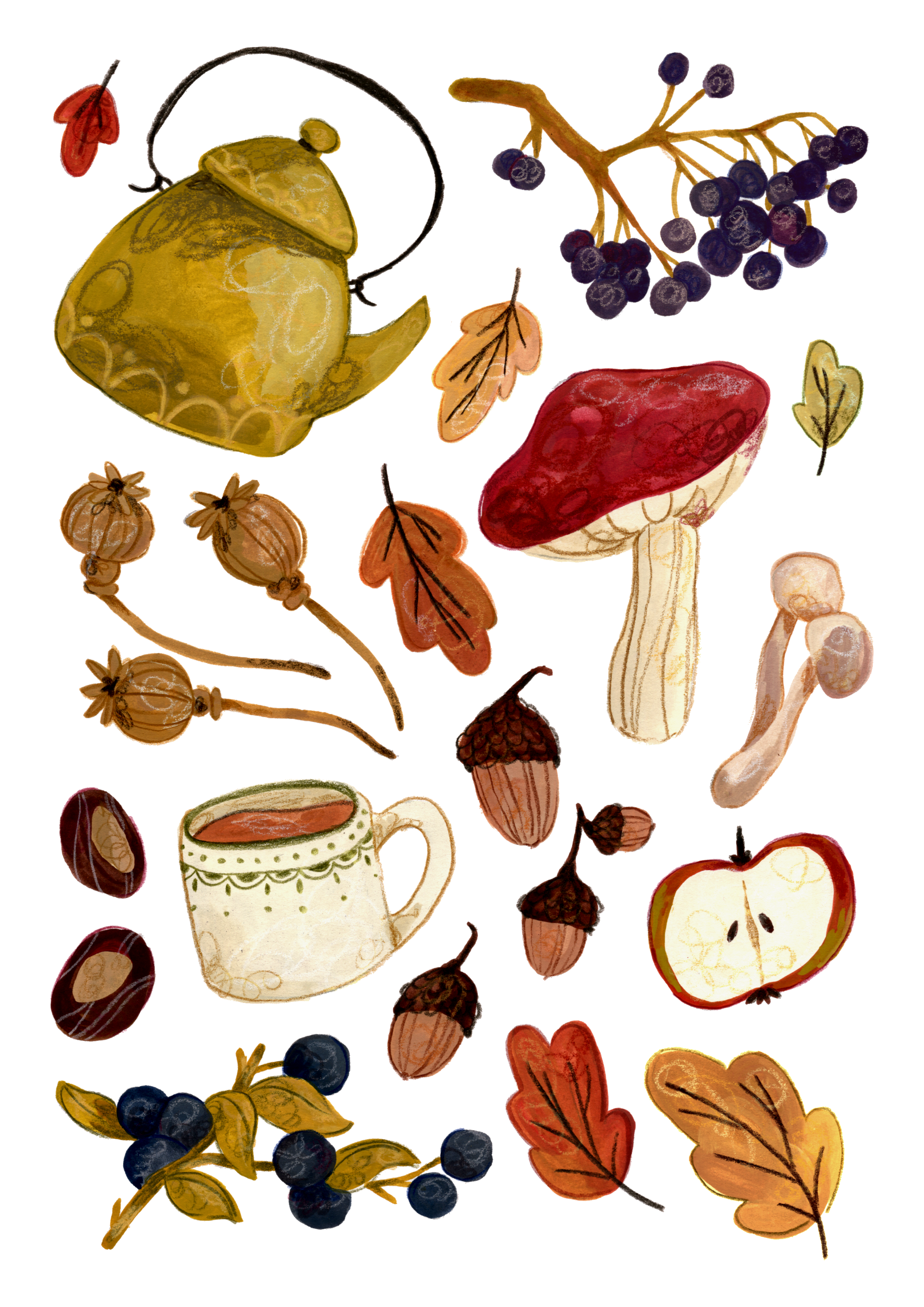 IMG_0417.PNG