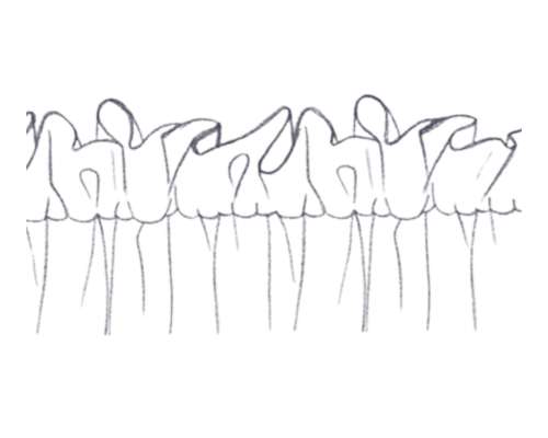 Cottage pleat curtain header