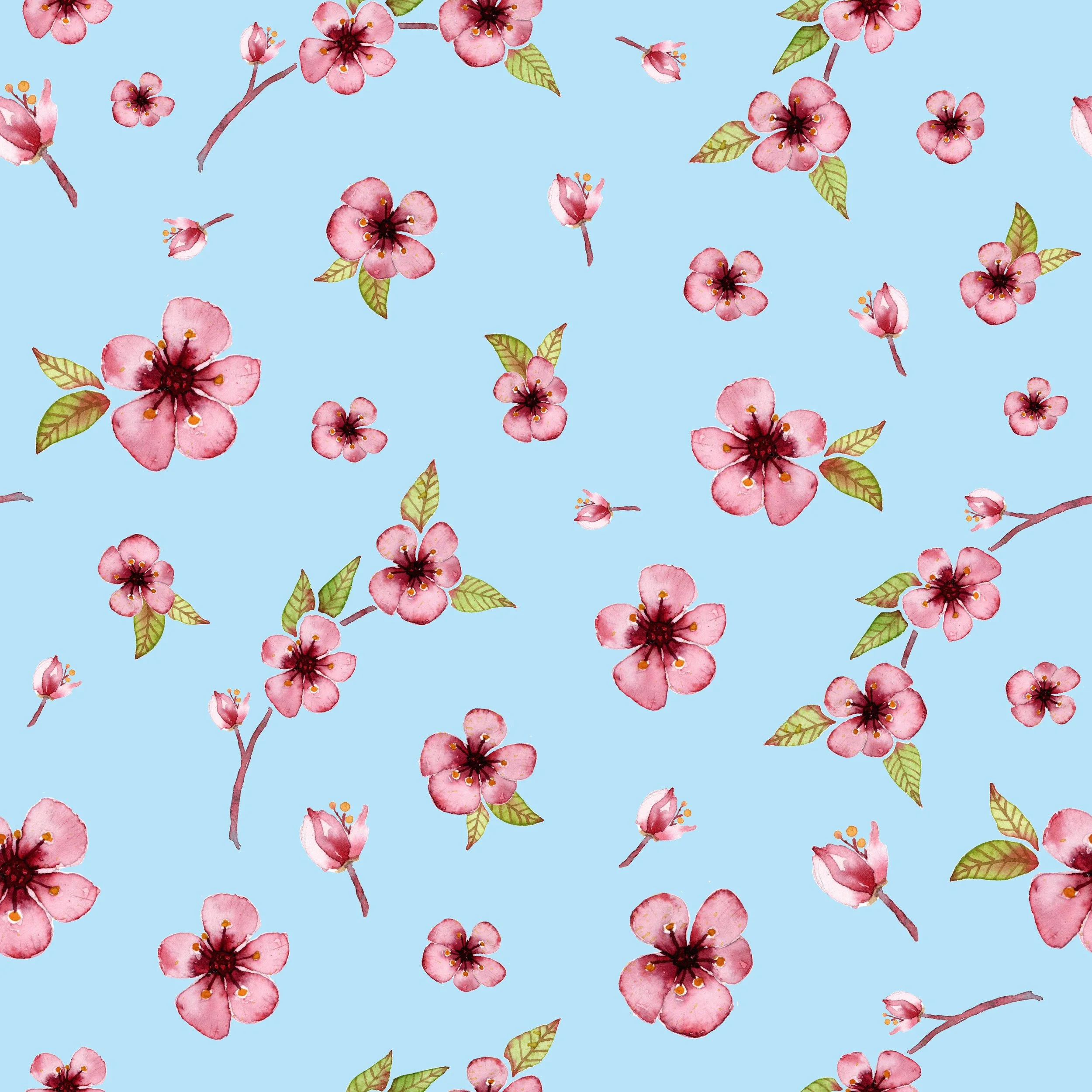Watercolor cherry blossom repeating pattern over a baby blue background