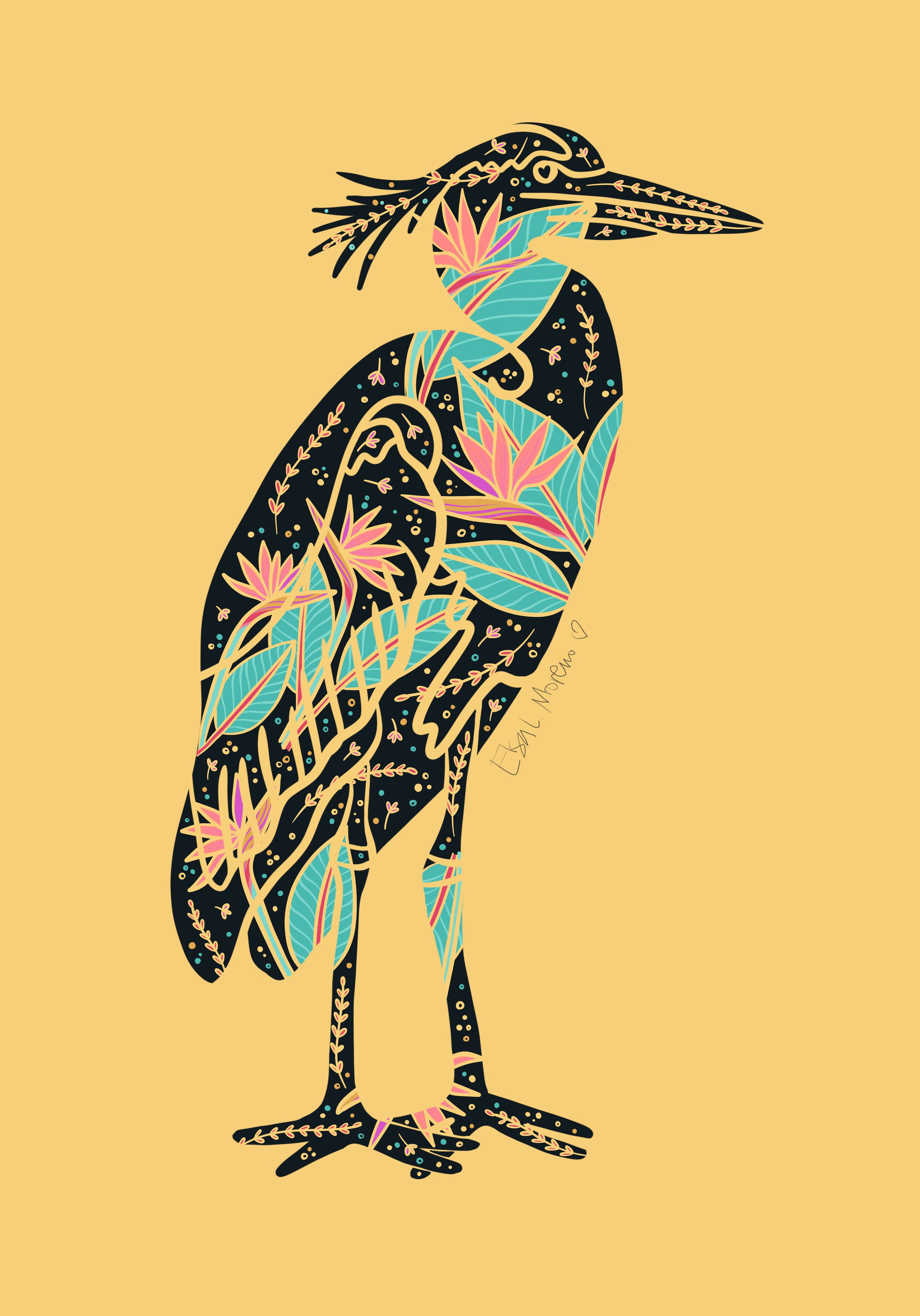 Heron Tropical JPG.jpg