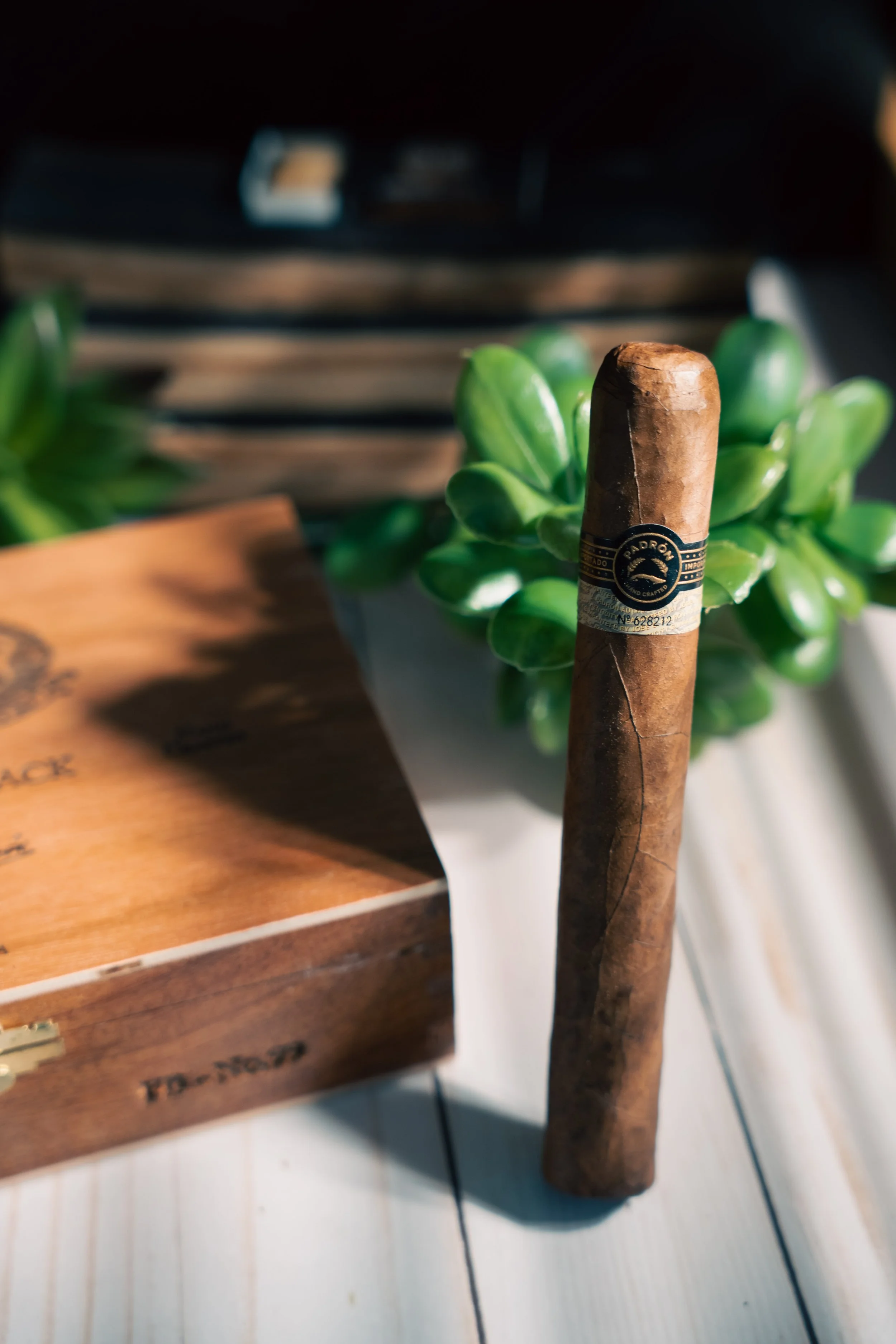 PadronBlack-03.jpg