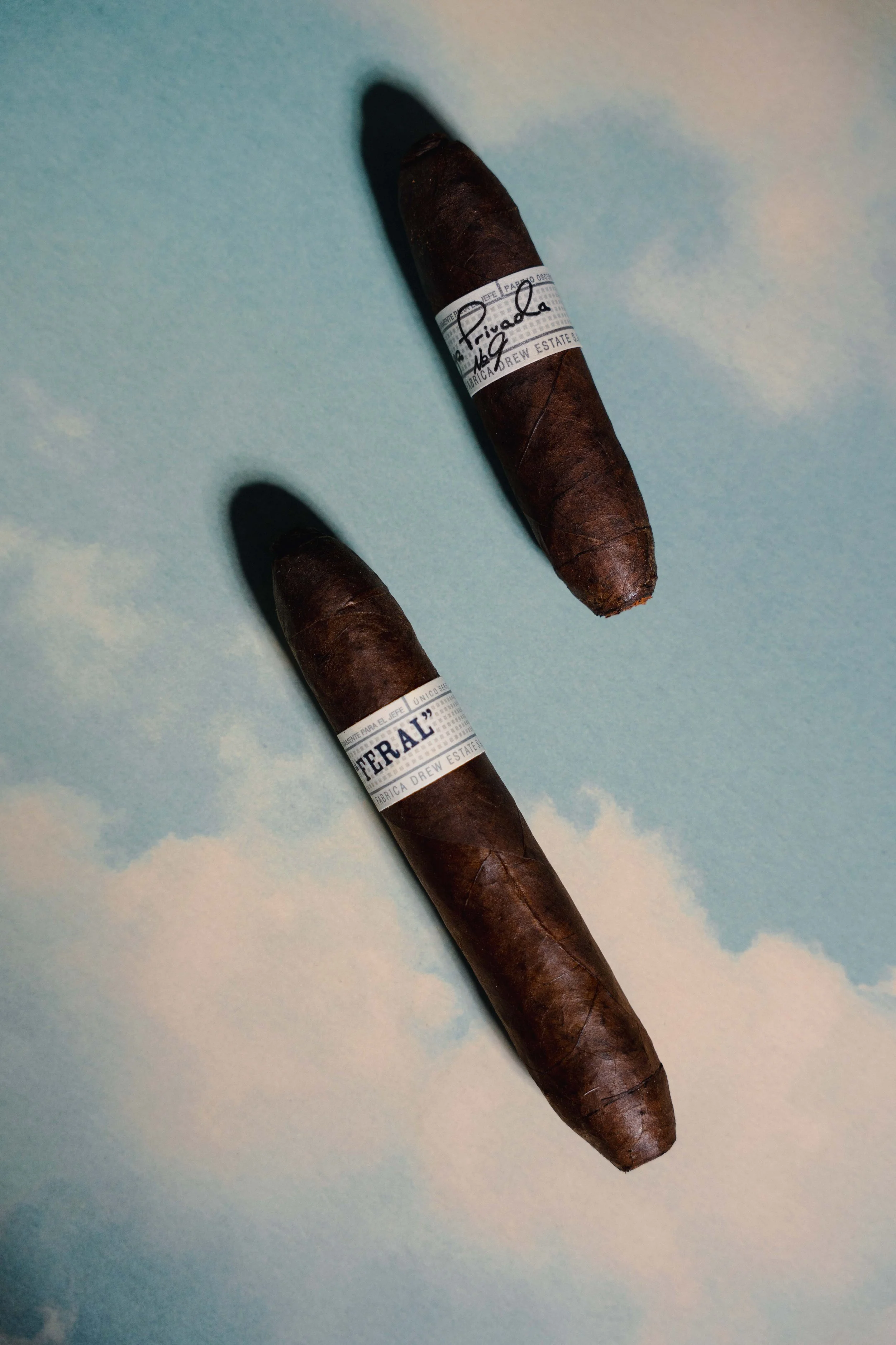 LigaPrivada-FlyingPig-03.jpg