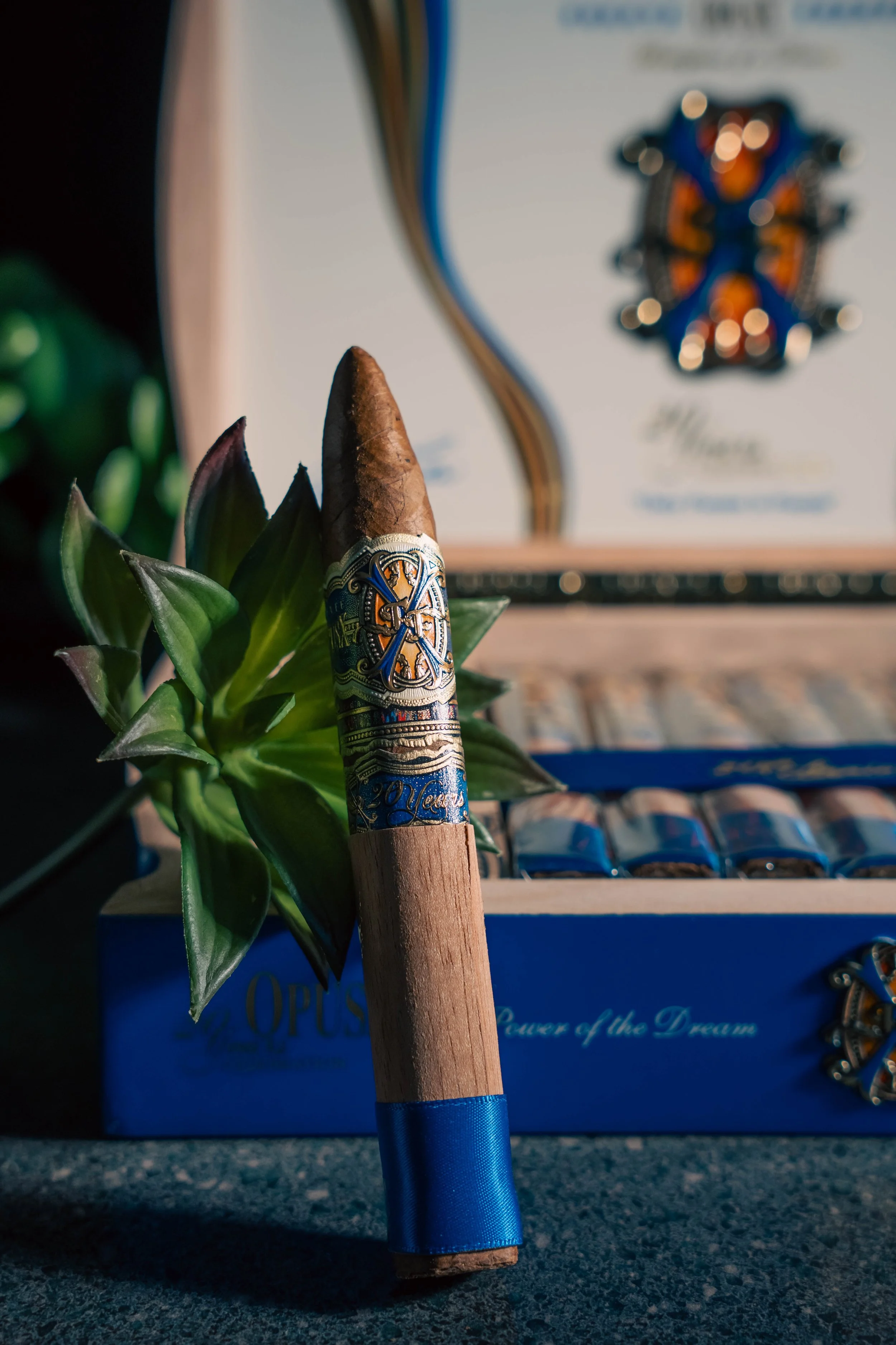 OpusX20-01.jpg